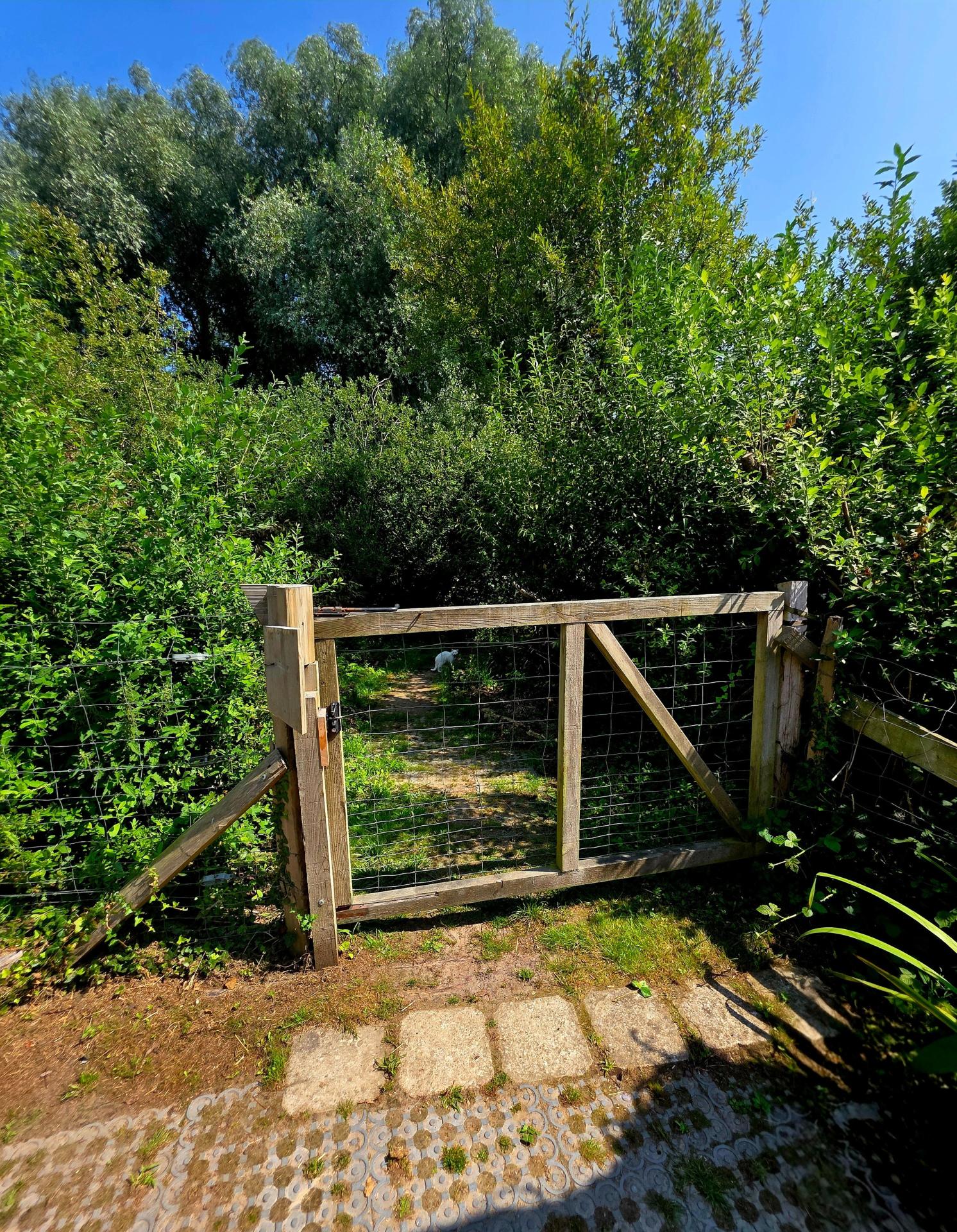 Photo 20 de l'annonce.