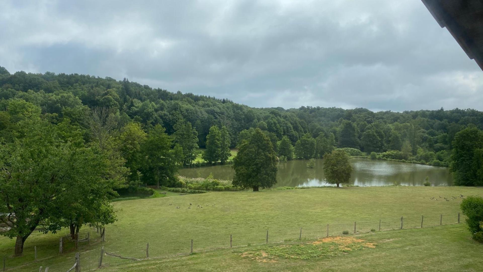 Photo 12 de l'annonce.