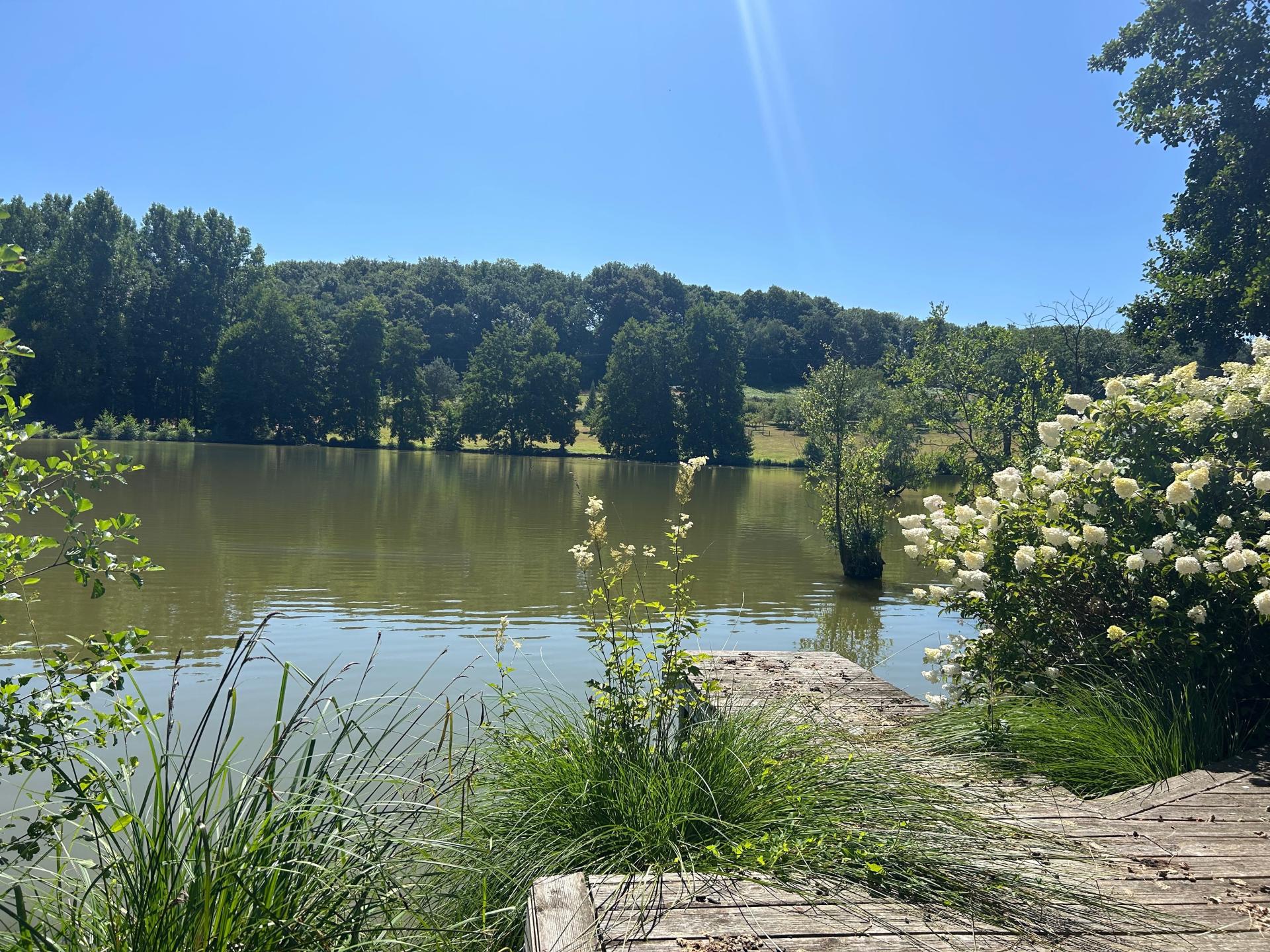 Photo 4 de l'annonce.