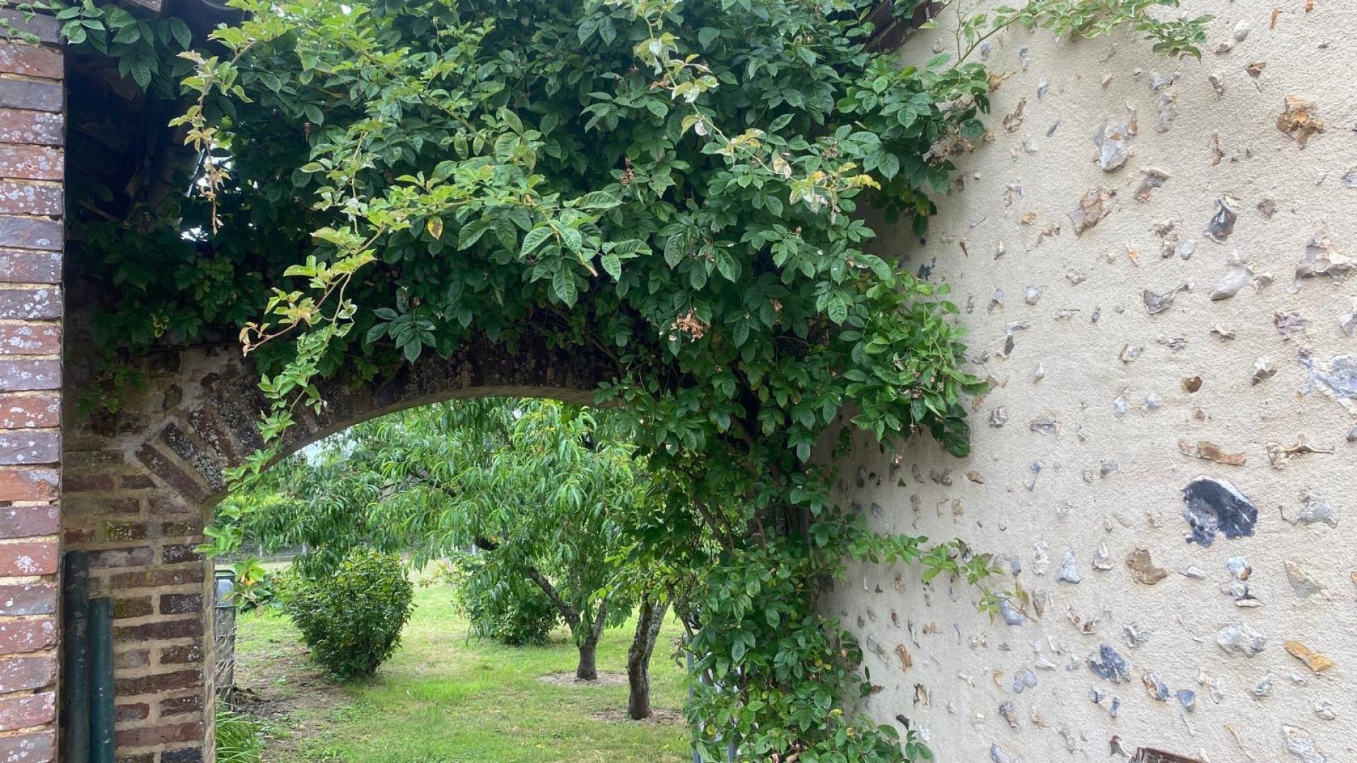 Photo 8 de l'annonce.