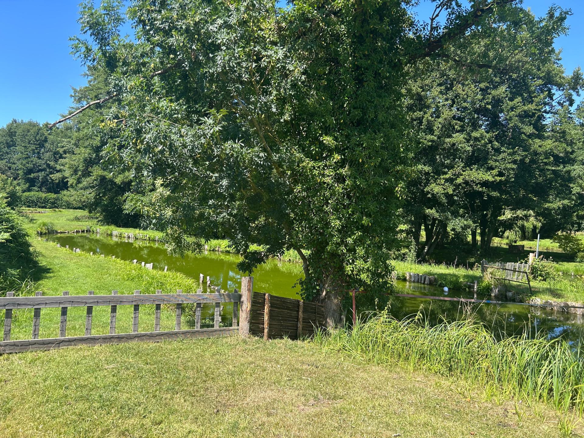 Photo 9 de l'annonce.