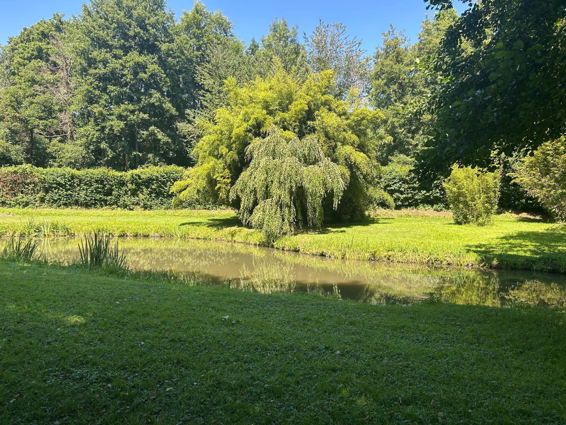 Photo 11 de l'annonce.