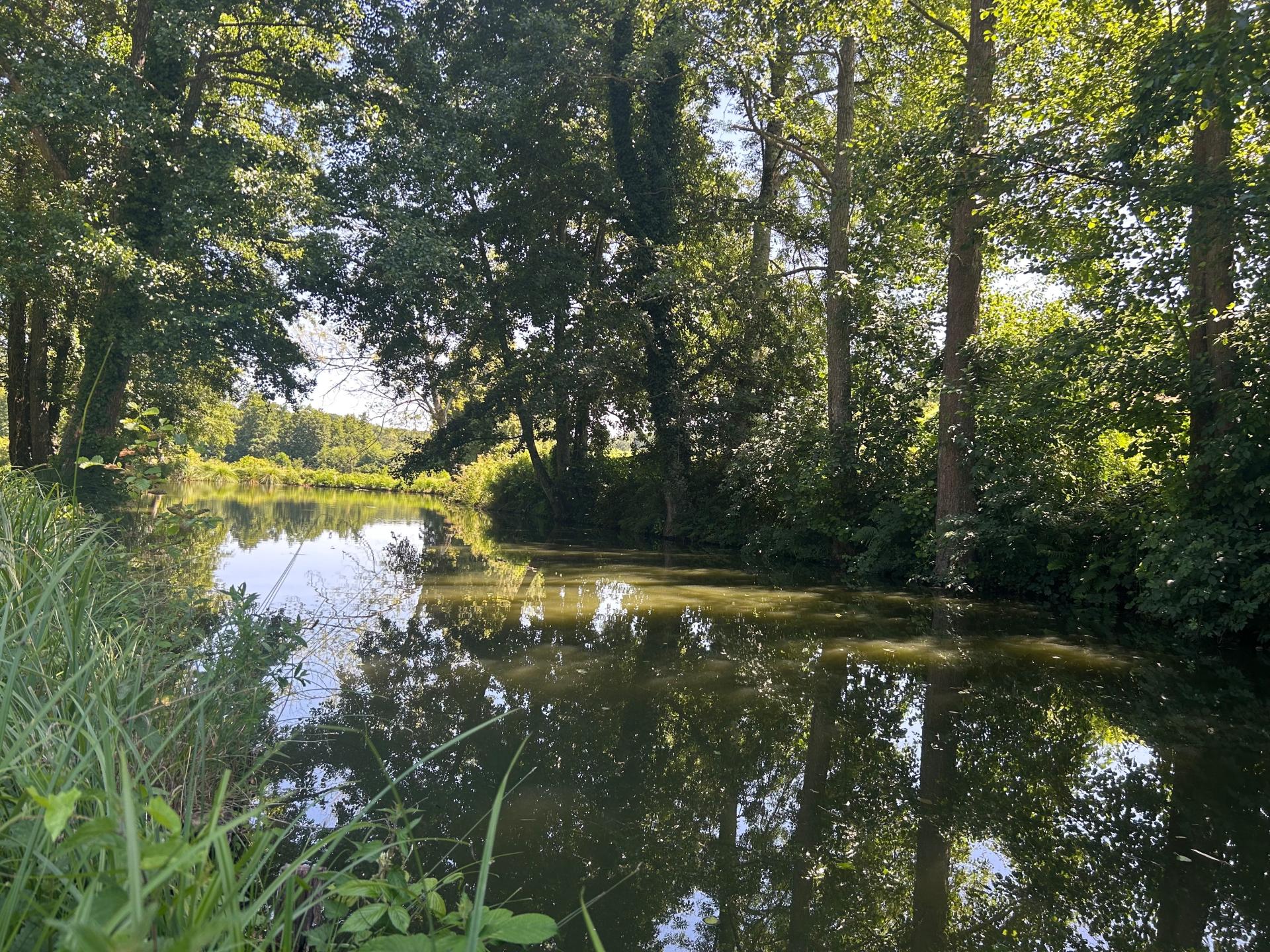 Photo 6 de l'annonce.