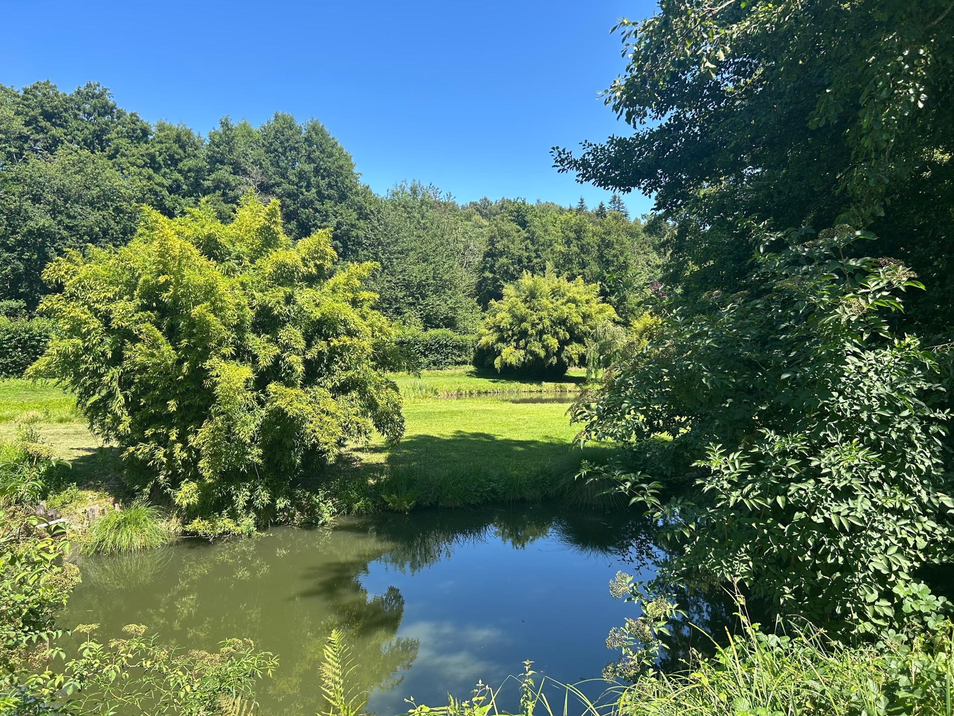 Photo 10 de l'annonce.