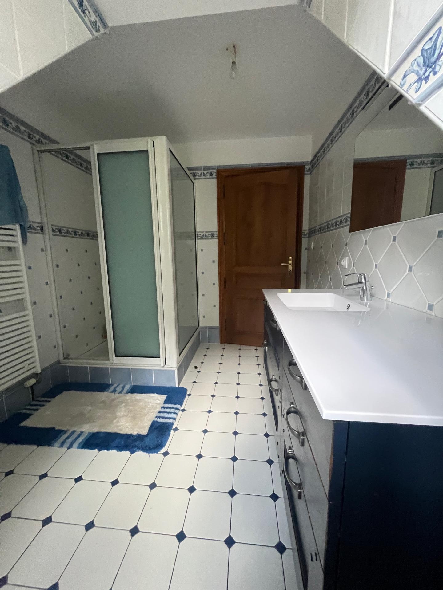 Photo 8 de l'annonce.