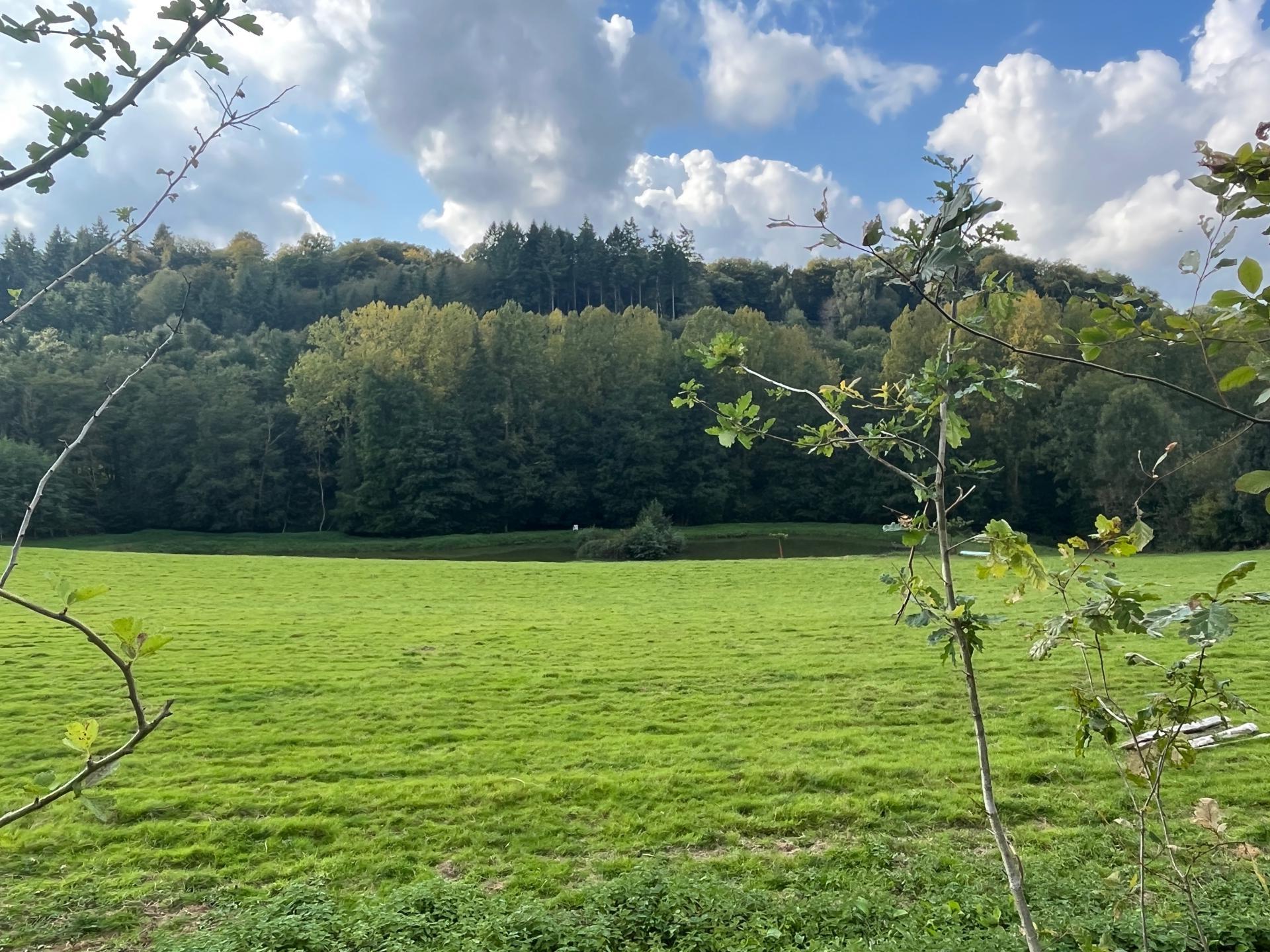 Photo 13 de l'annonce.