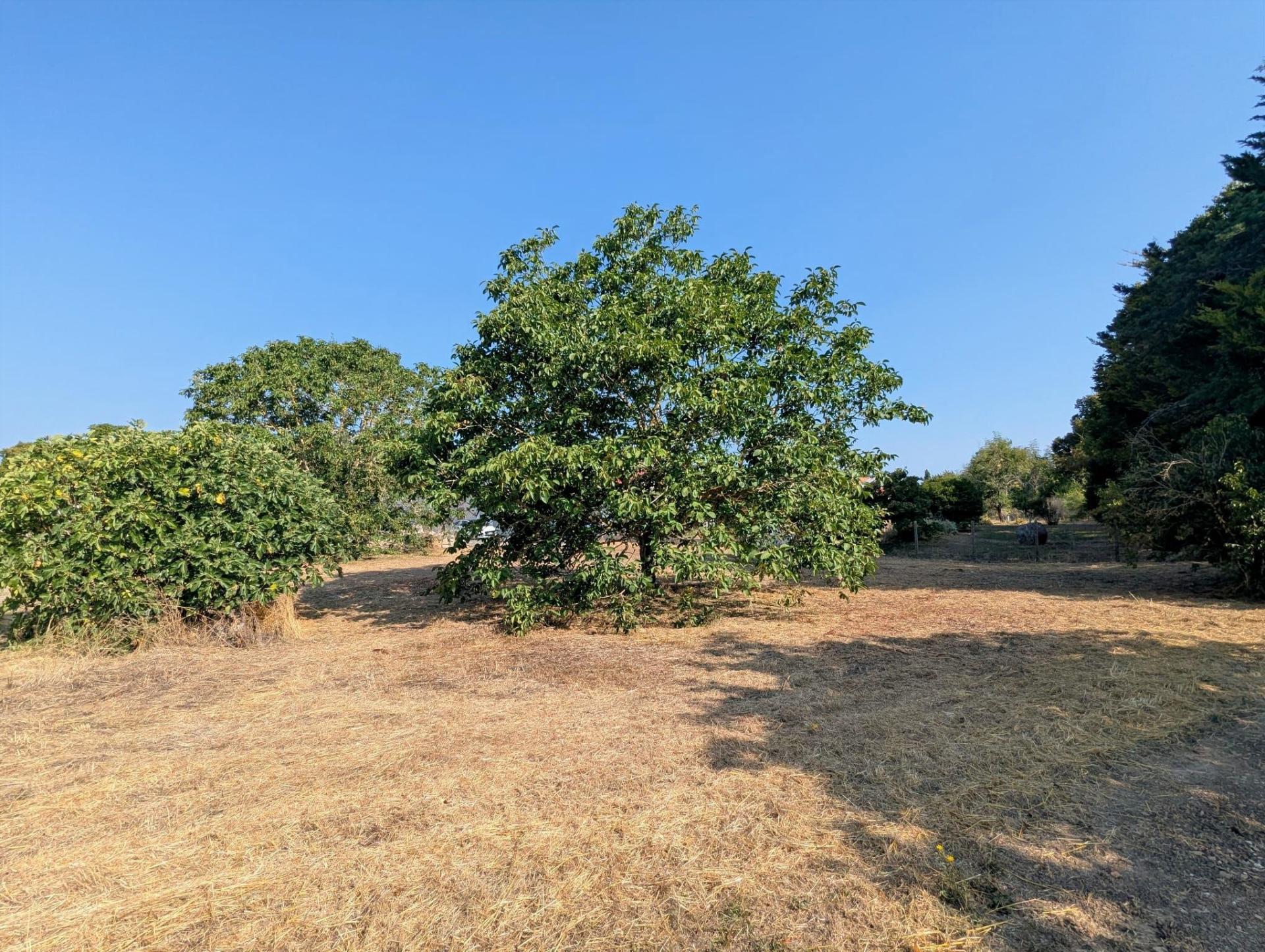 Photo-terrain
