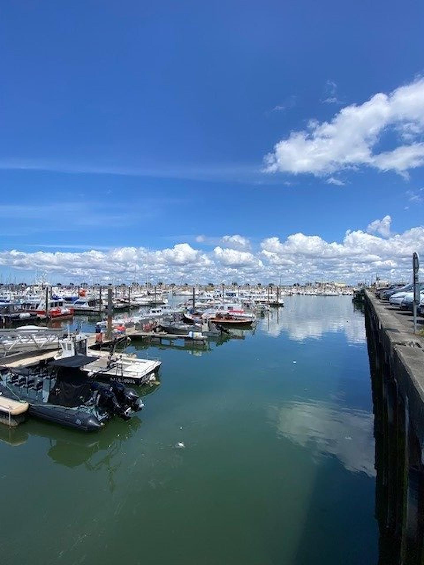 Foto 10 del anuncio.