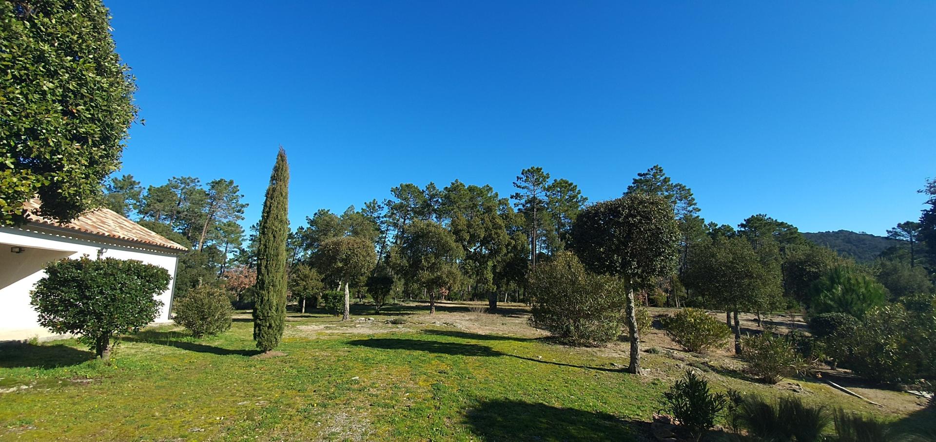 Photo 2 de l'annonce.