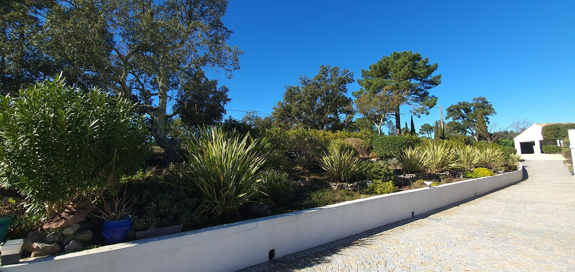 Photo 8 de l'annonce.