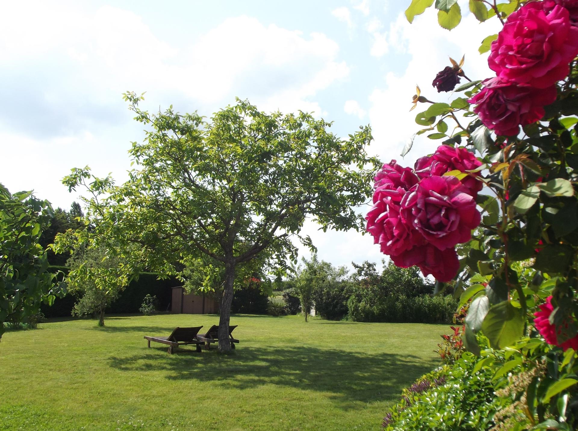 Photo 5 de l'annonce.