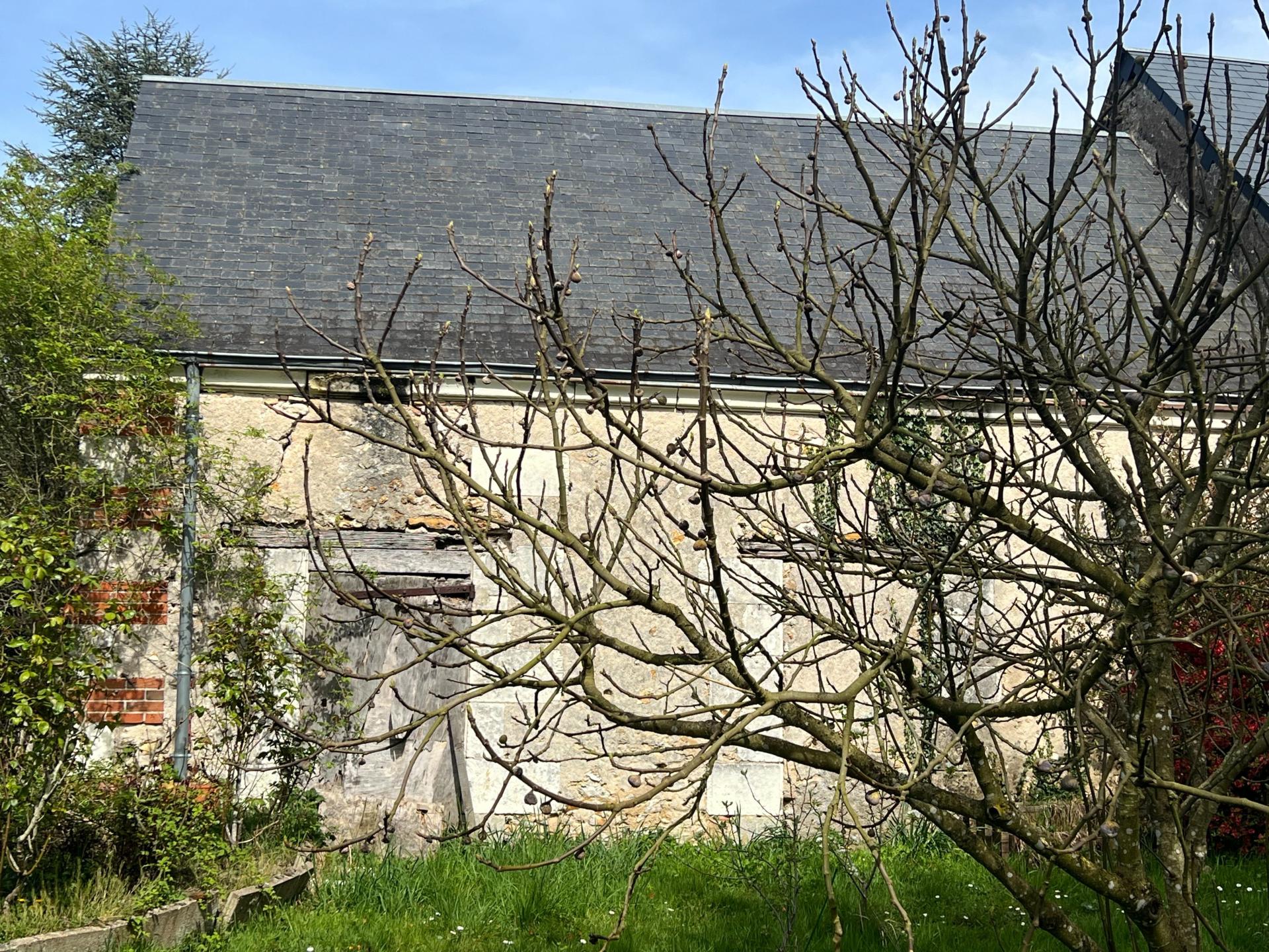 Photo 2 de l'annonce.