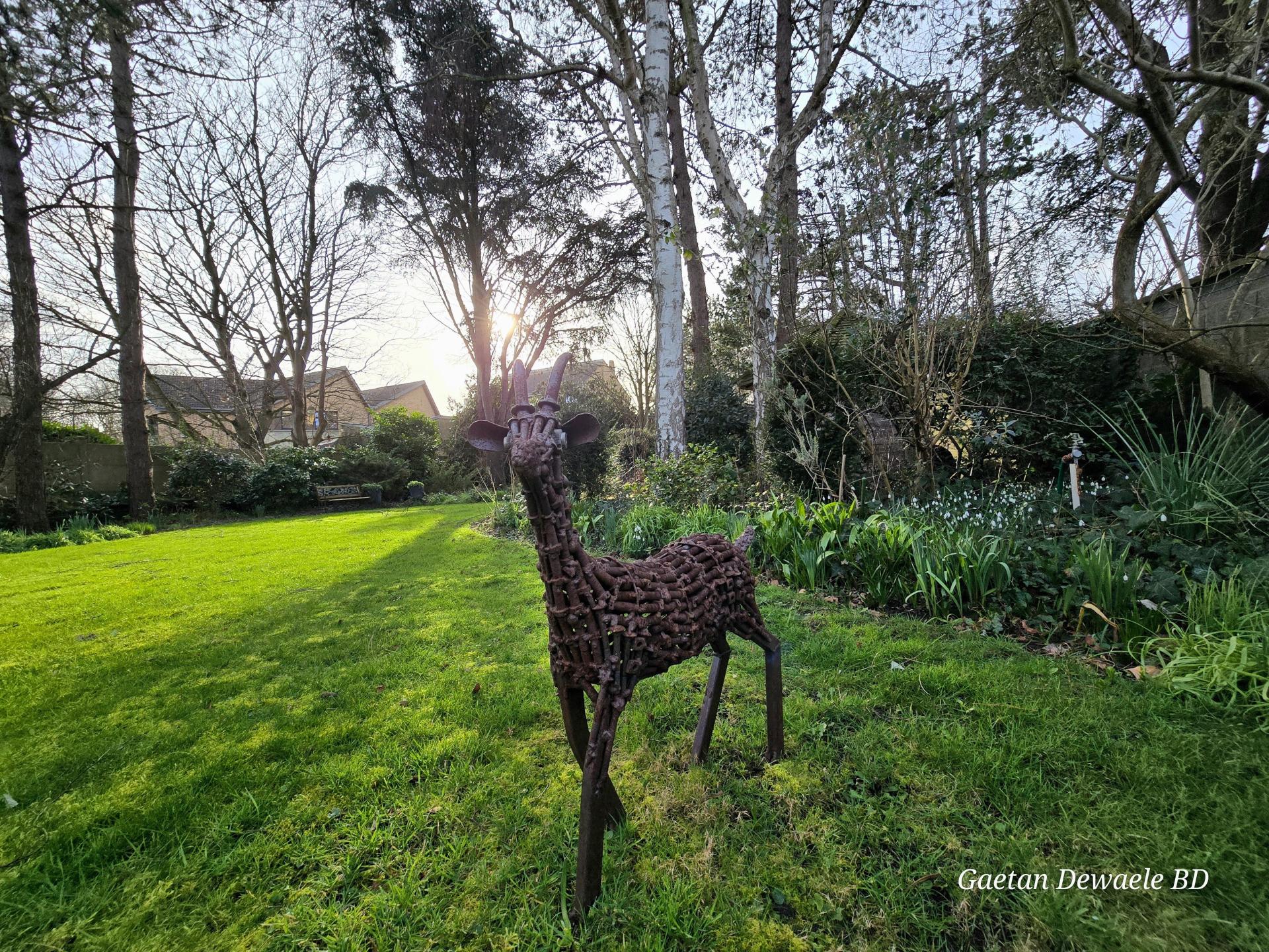 Photo 4 de l'annonce.