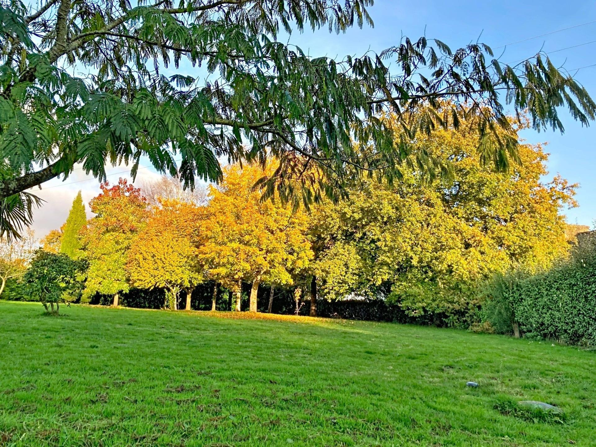 Photo 9 of the listing.