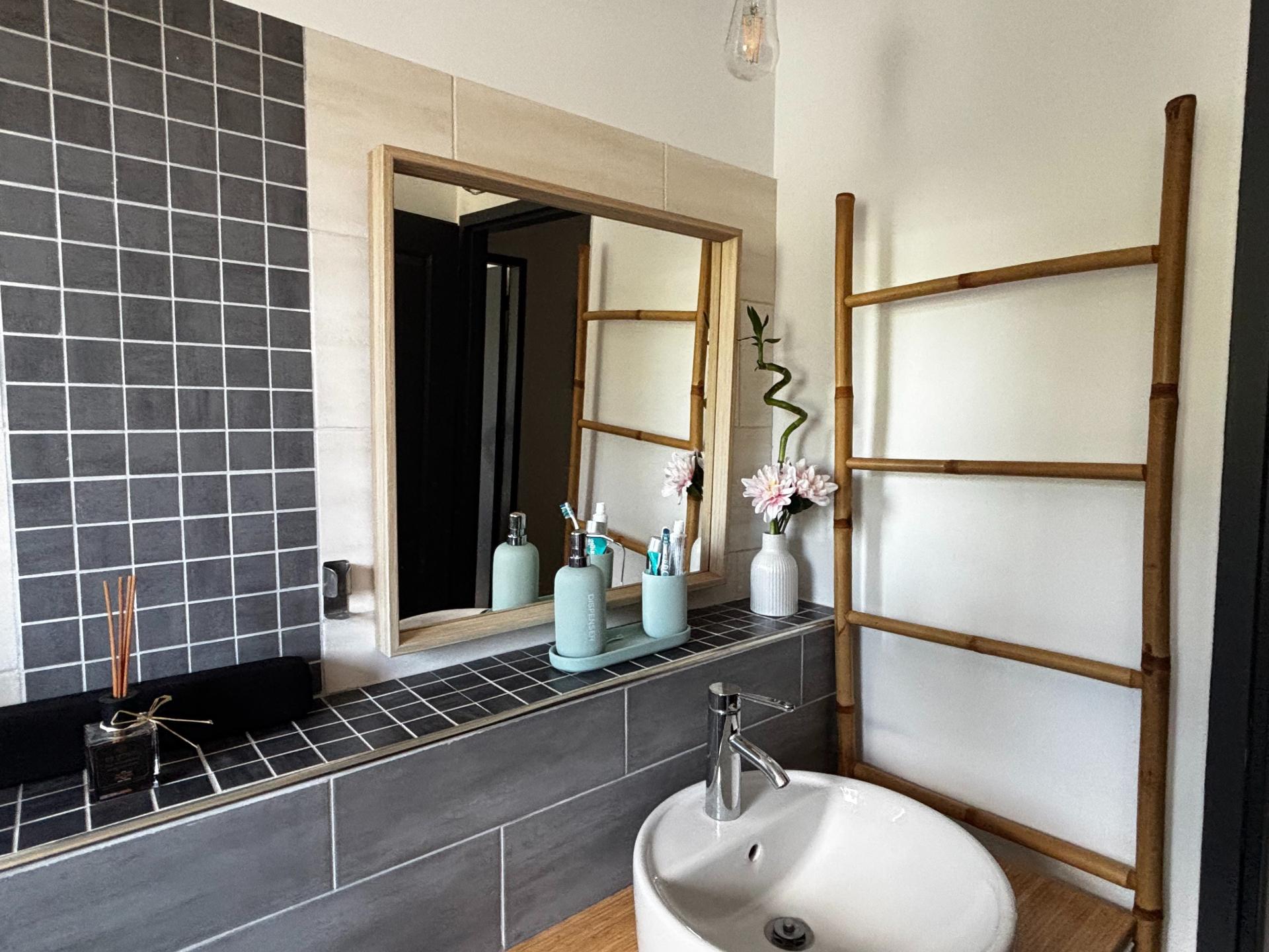 Photo 8 de l'annonce.