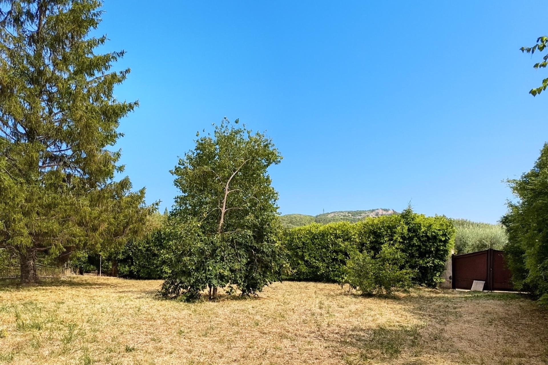 Photo 3 de l'annonce.