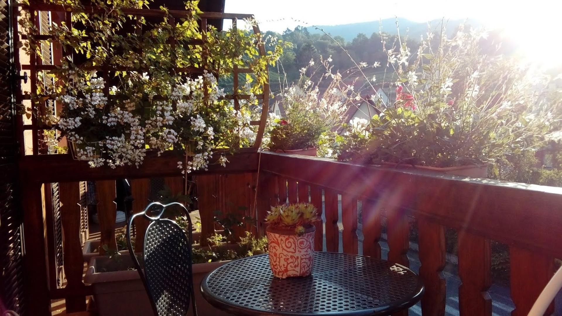 Photo 13 de l'annonce.