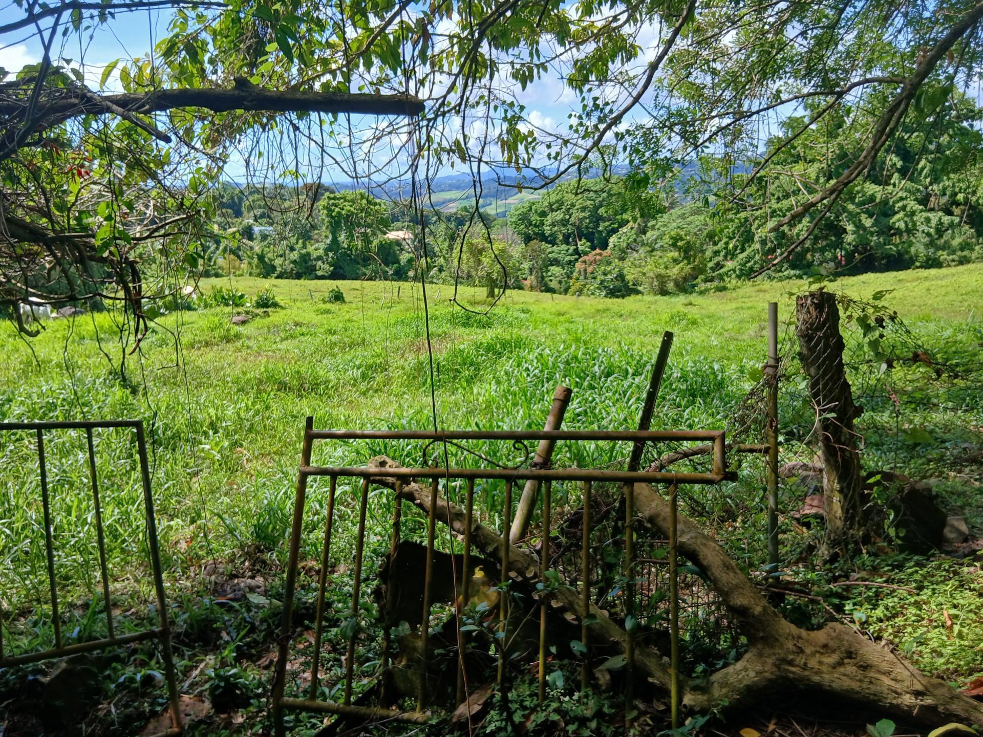 Photo-terrain
