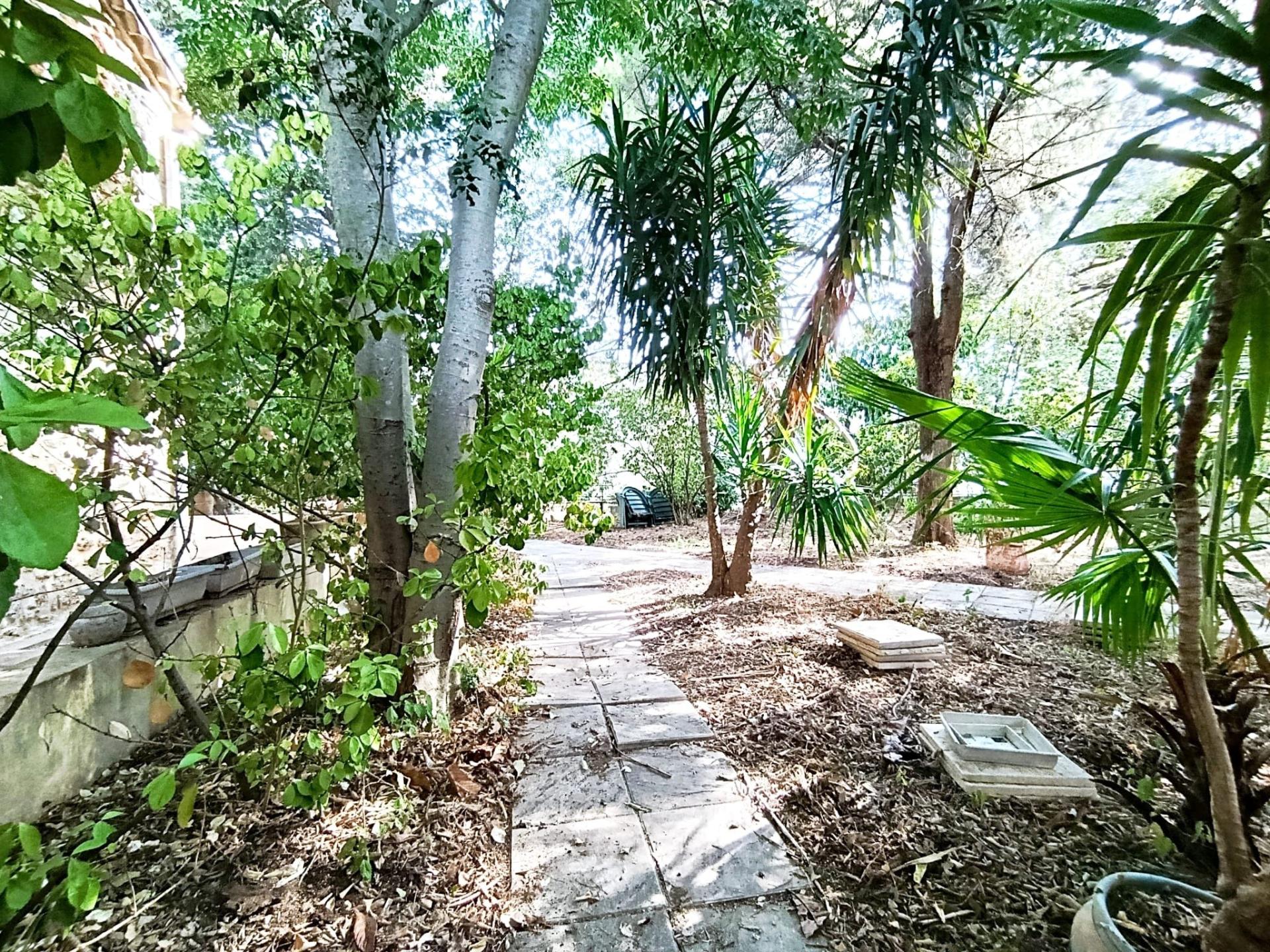 Photo 5 de l'annonce.