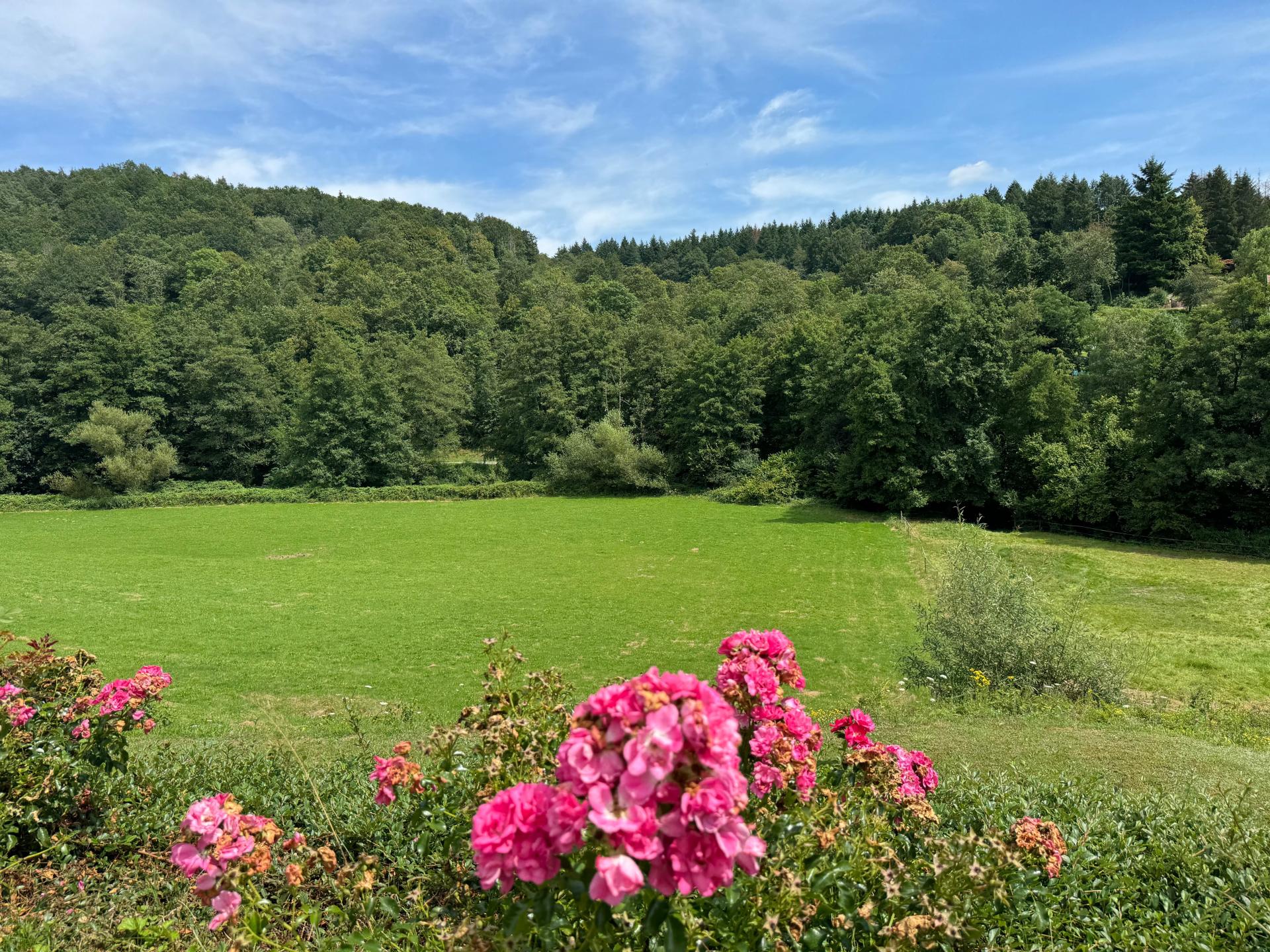 Photo 12 of the listing.