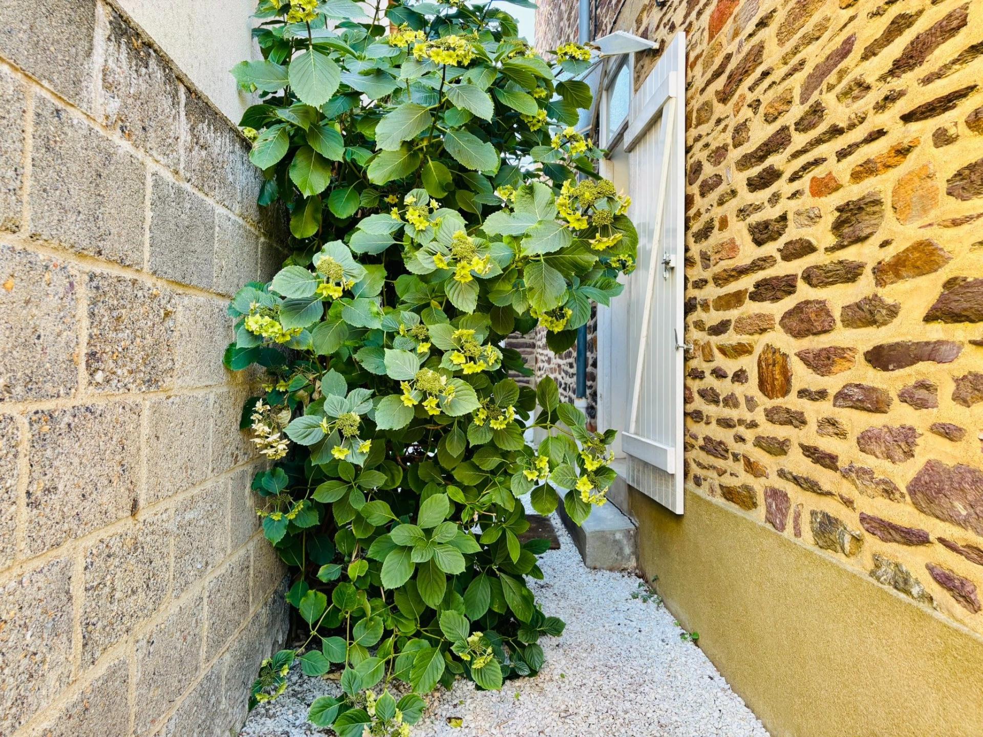 Photo 6 de l'annonce.