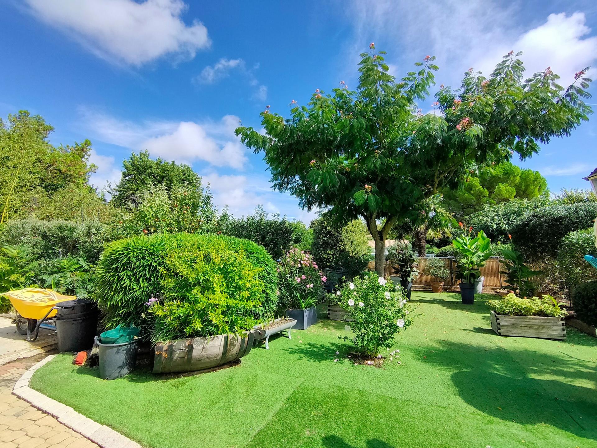 Photo 2 de l'annonce.