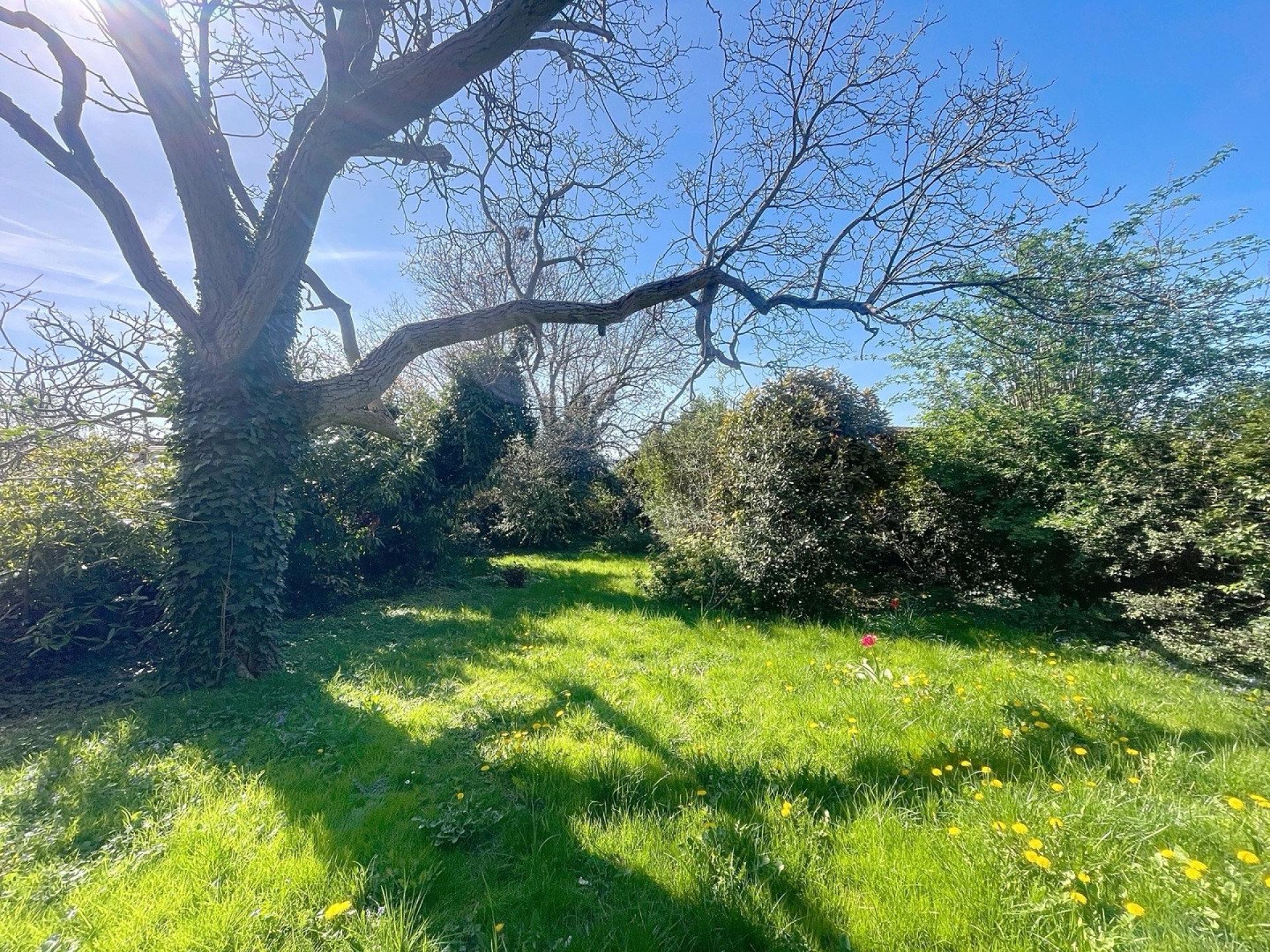 Photo 3 de l'annonce.