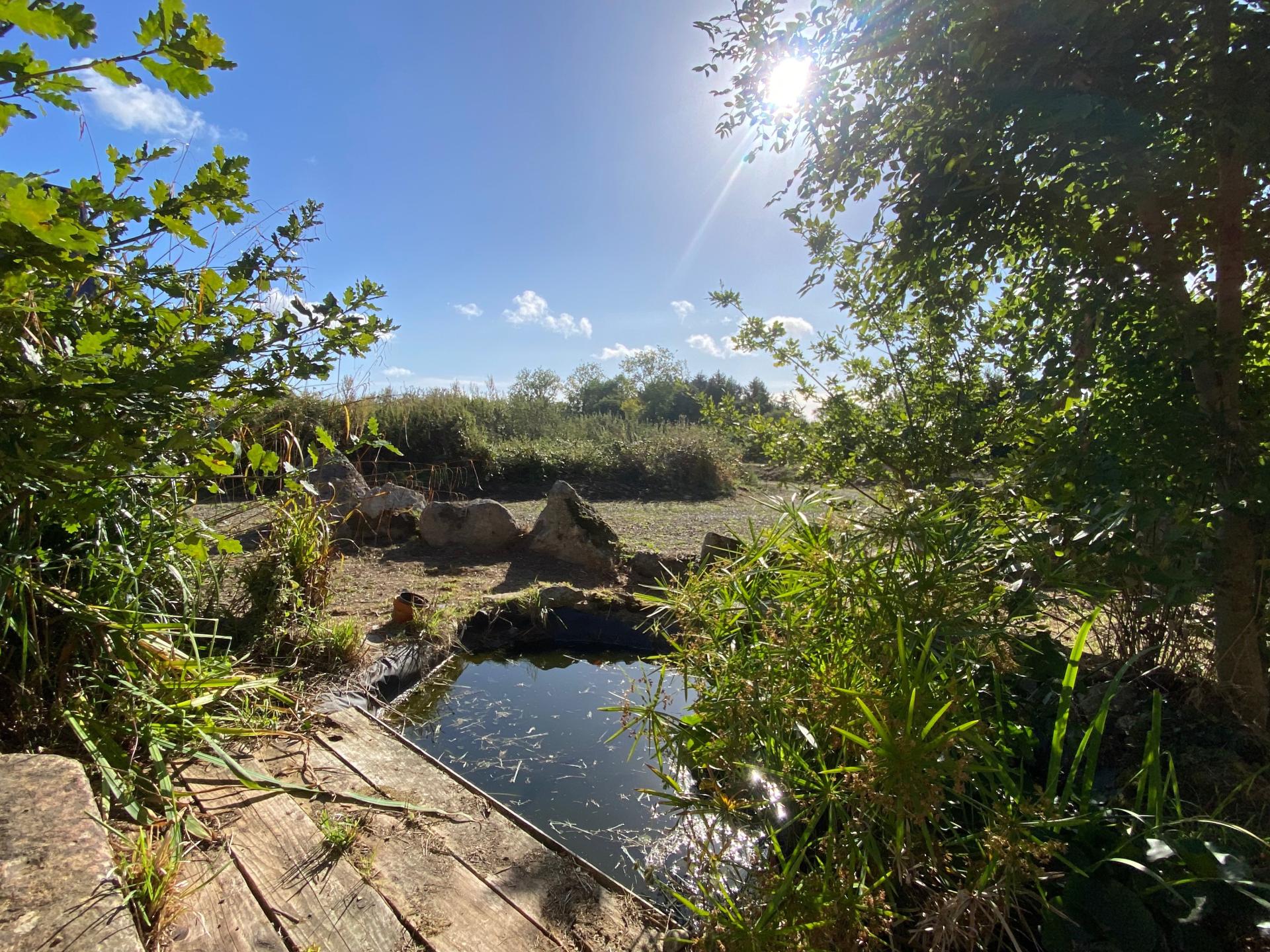 Photo 15 de l'annonce.