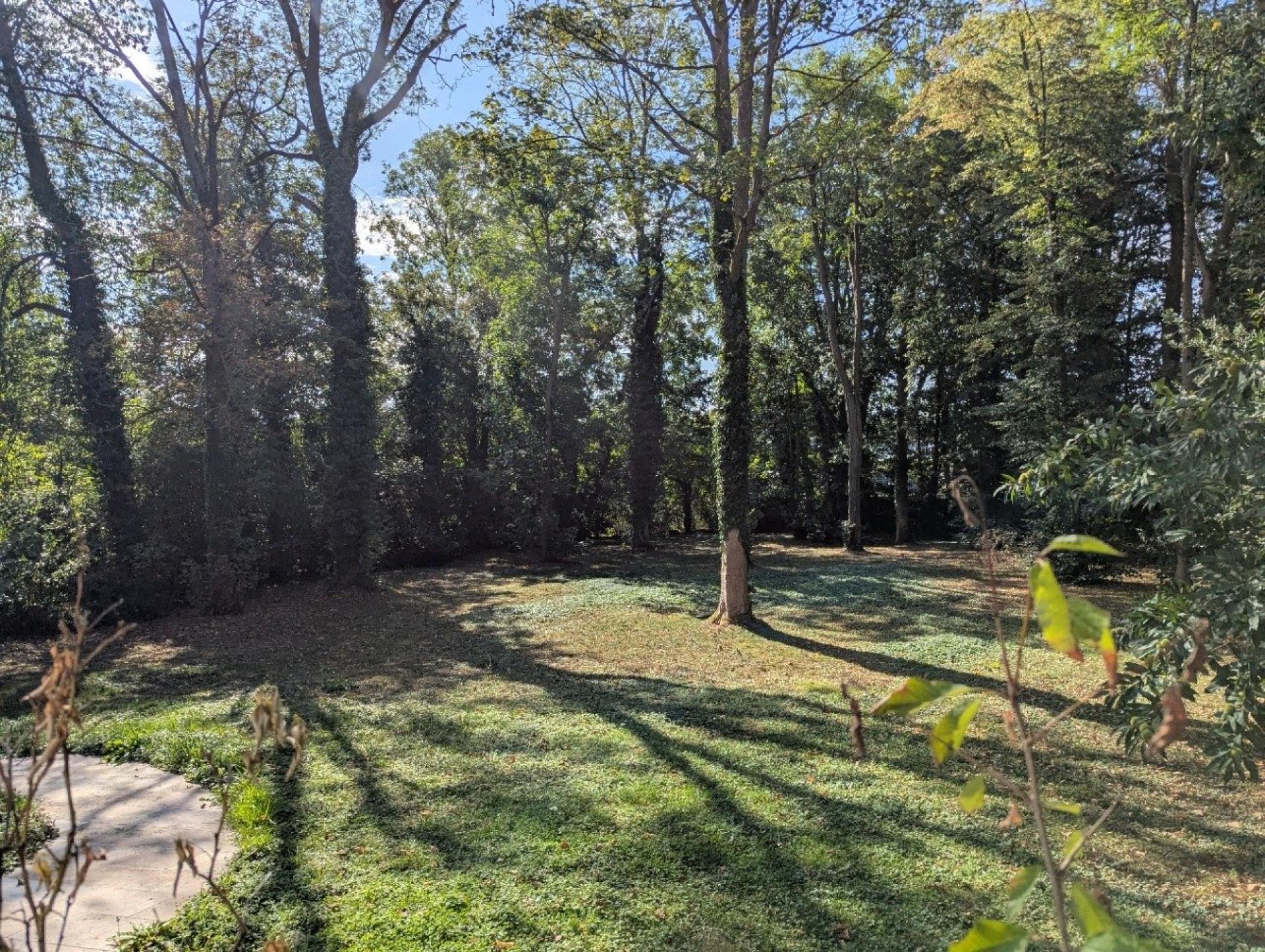 Photo 8 de l'annonce.