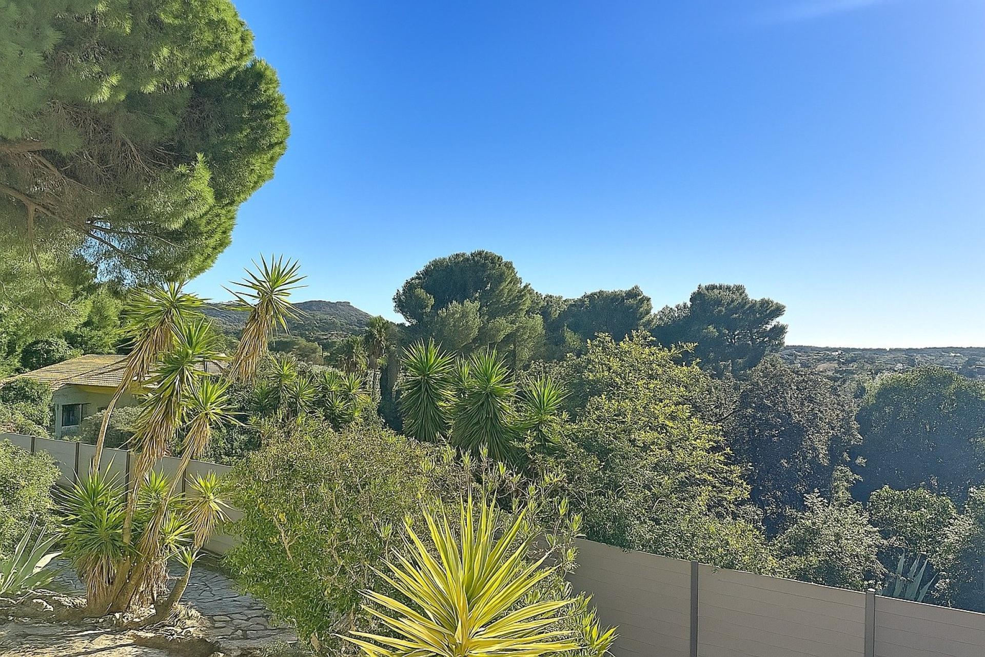 Photo 10 de l'annonce.