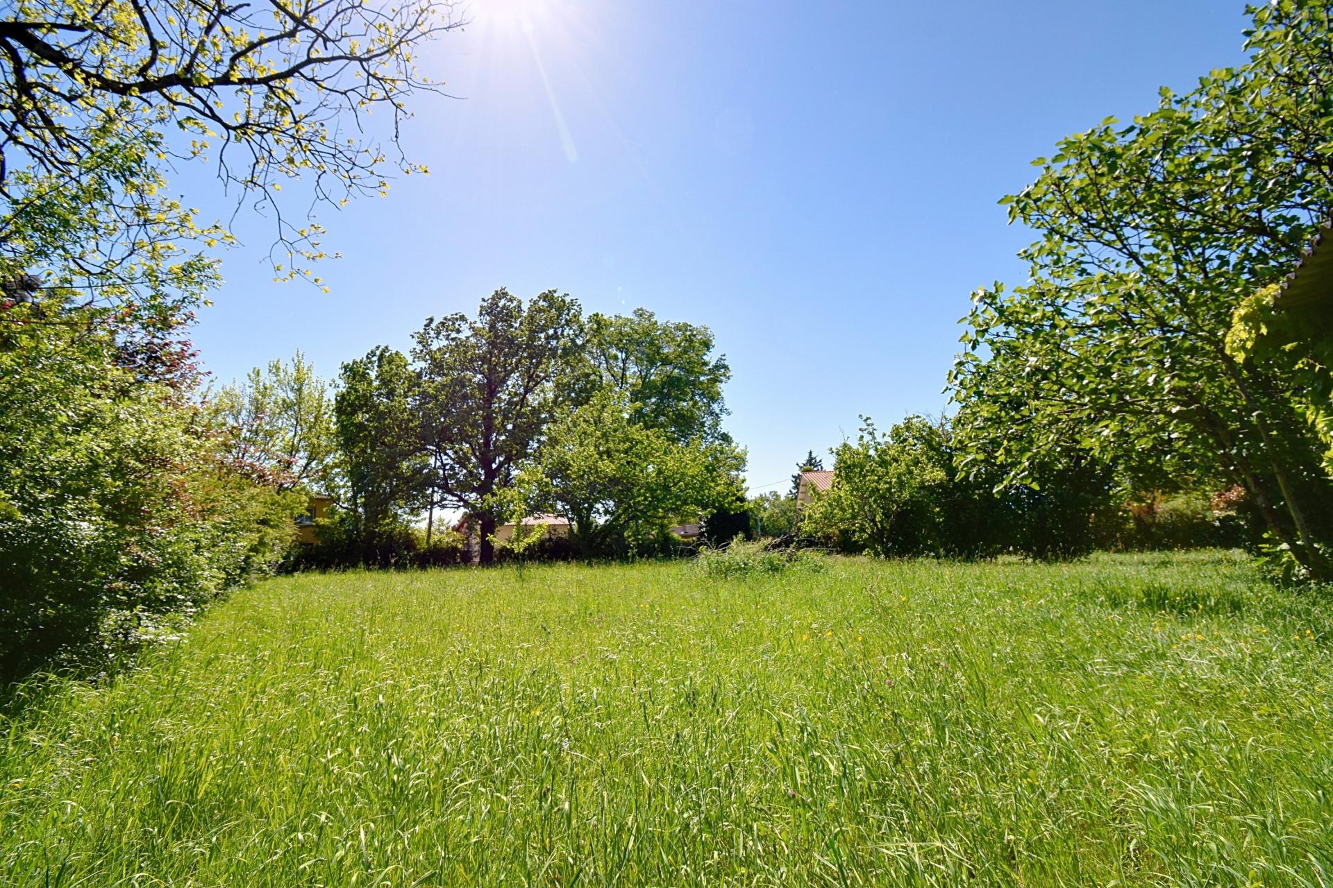 Photo-terrain