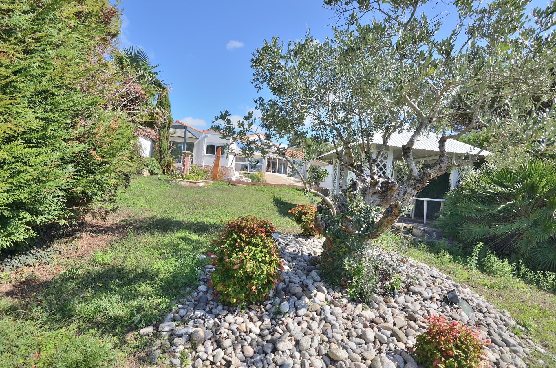 Photo 11 of the listing.