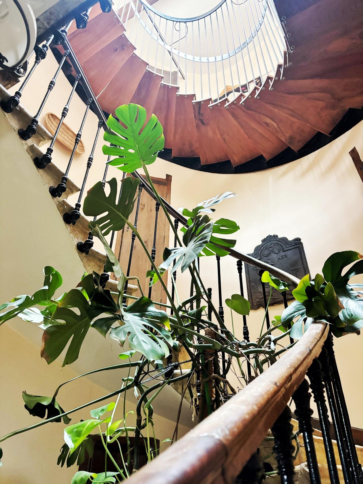 Photo 8 of the listing.