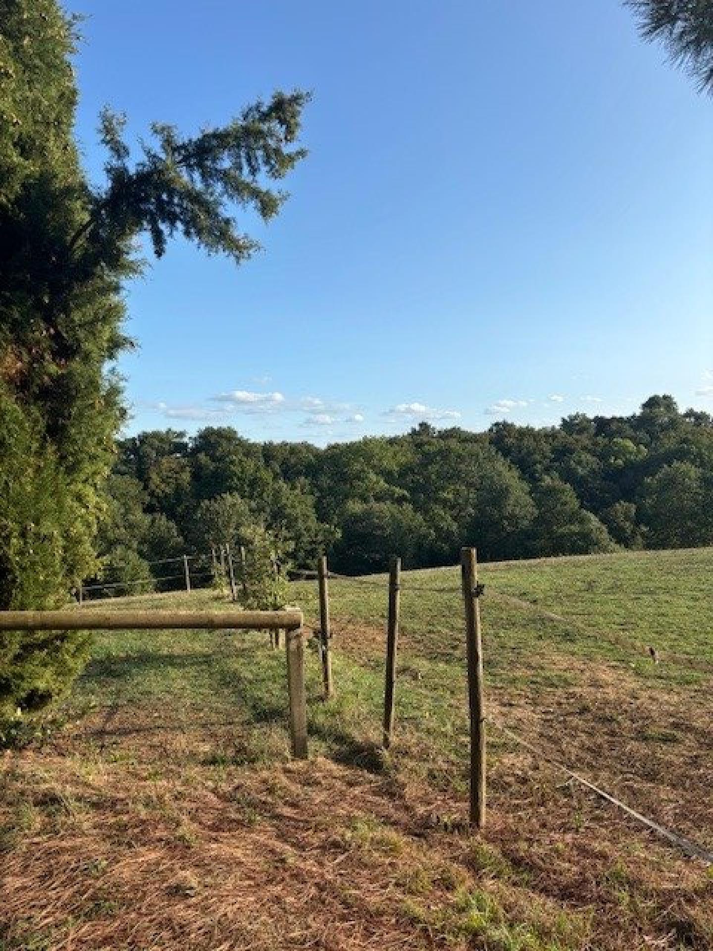 Photo 14 of the listing.