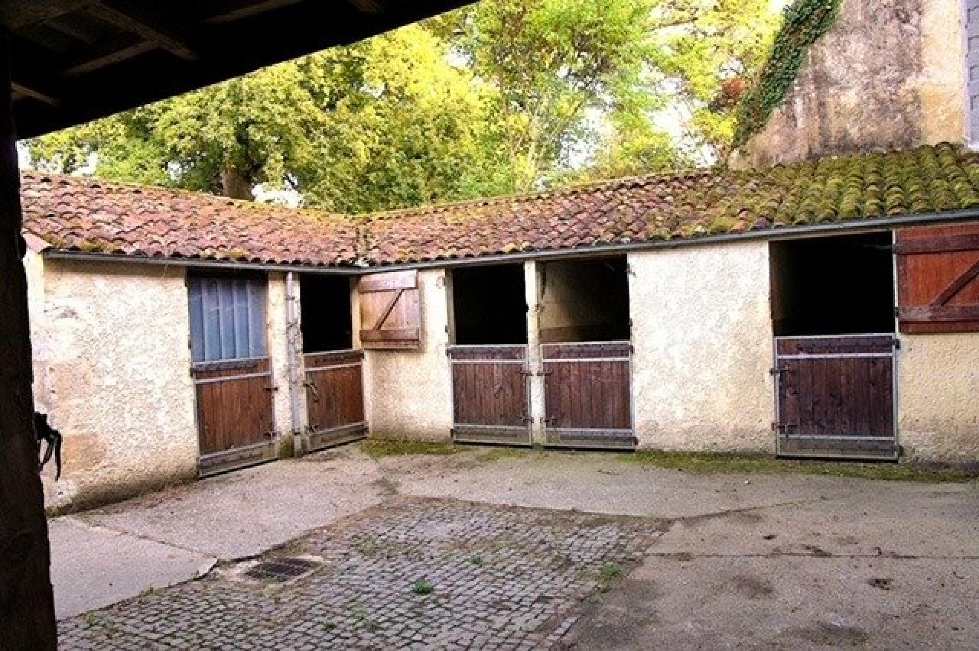 Photo 11 of the listing.