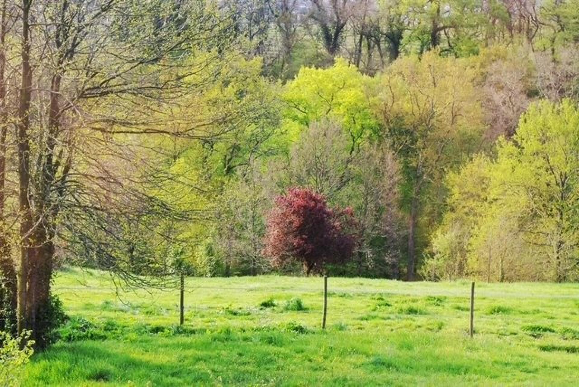 Photo 4 of the listing.