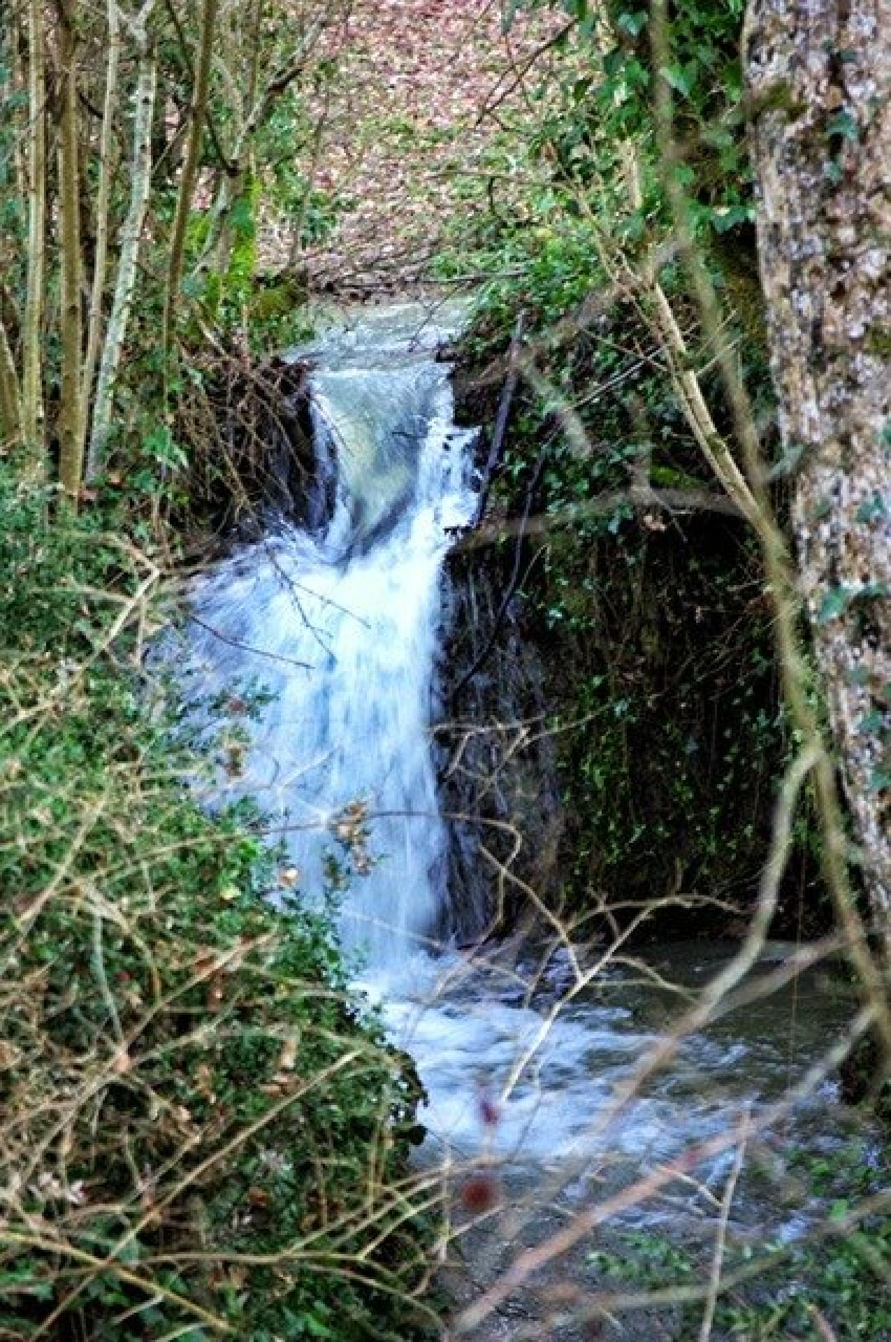 Photo 12 of the listing.