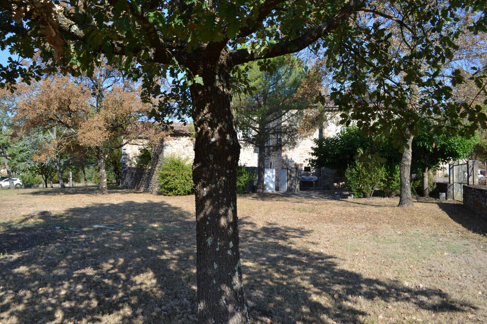 Photo 12 de l'annonce.