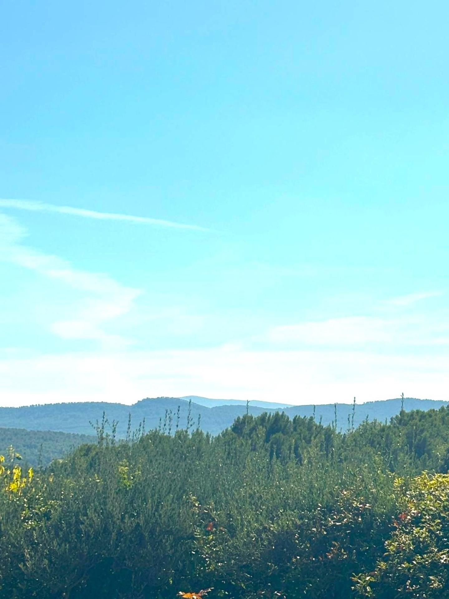 Photo 10 de l'annonce.