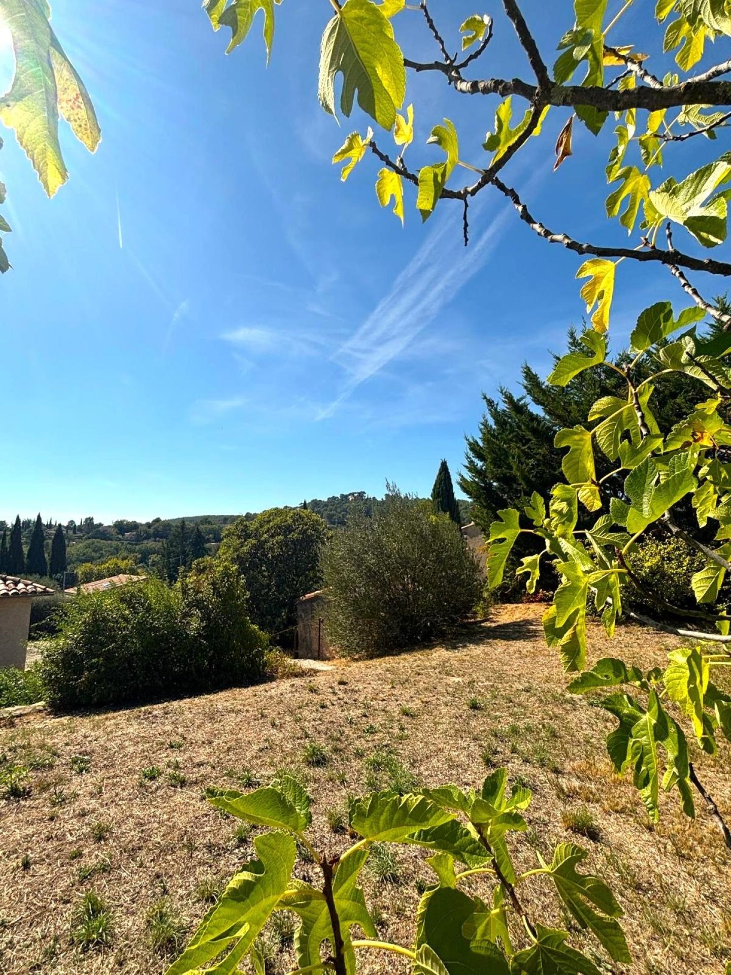 Photo 9 de l'annonce.