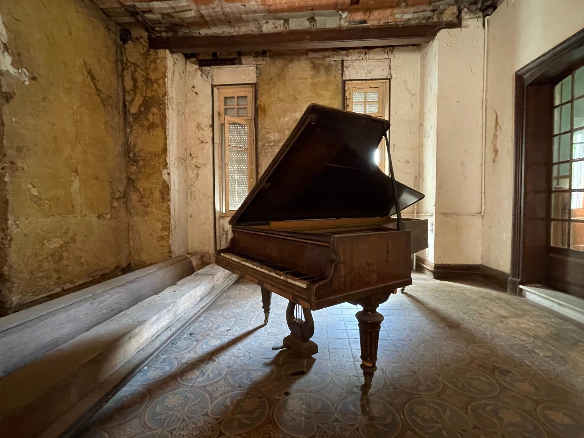 Photo 4 de l'annonce.