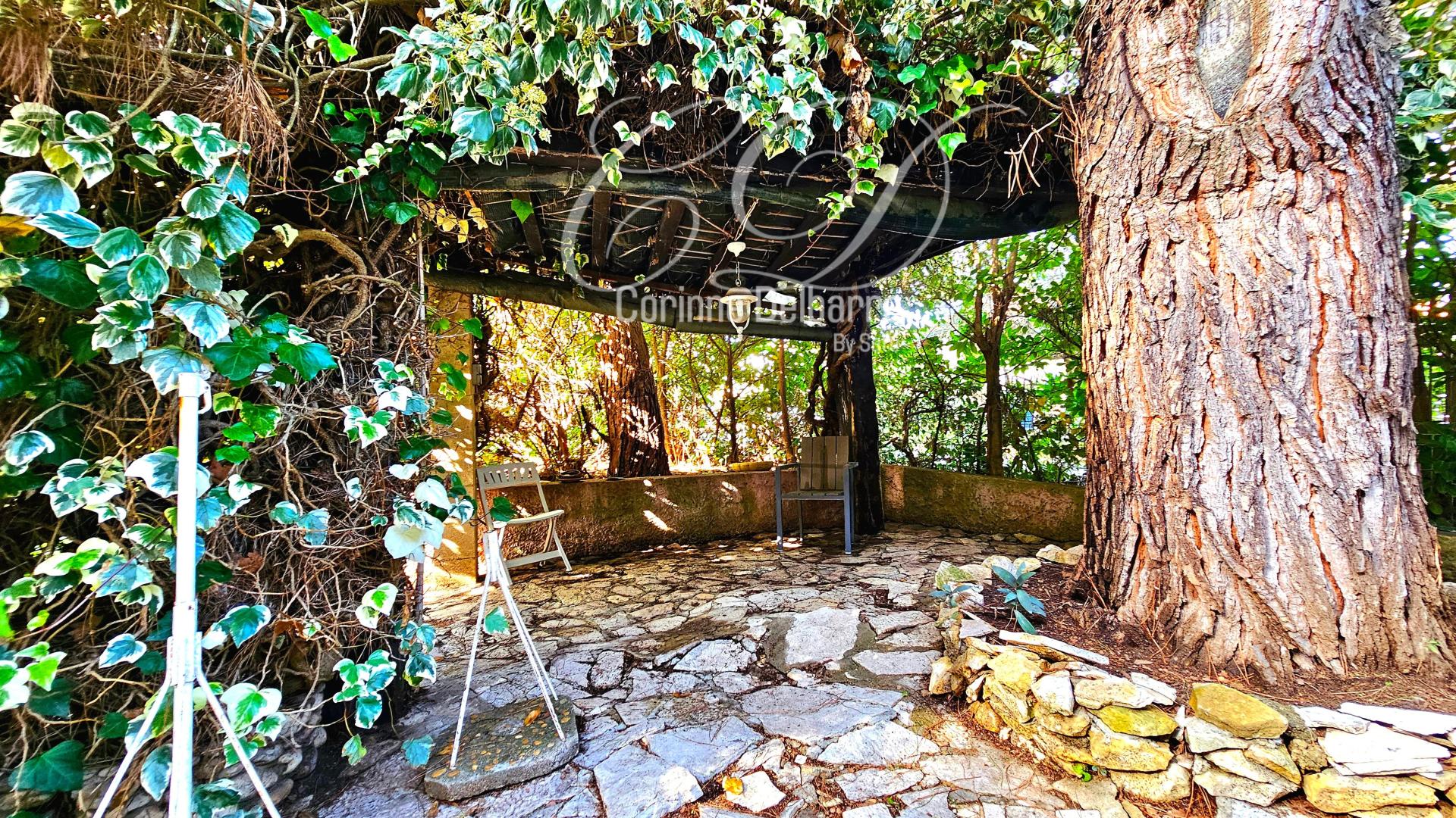 Photo 13 de l'annonce.