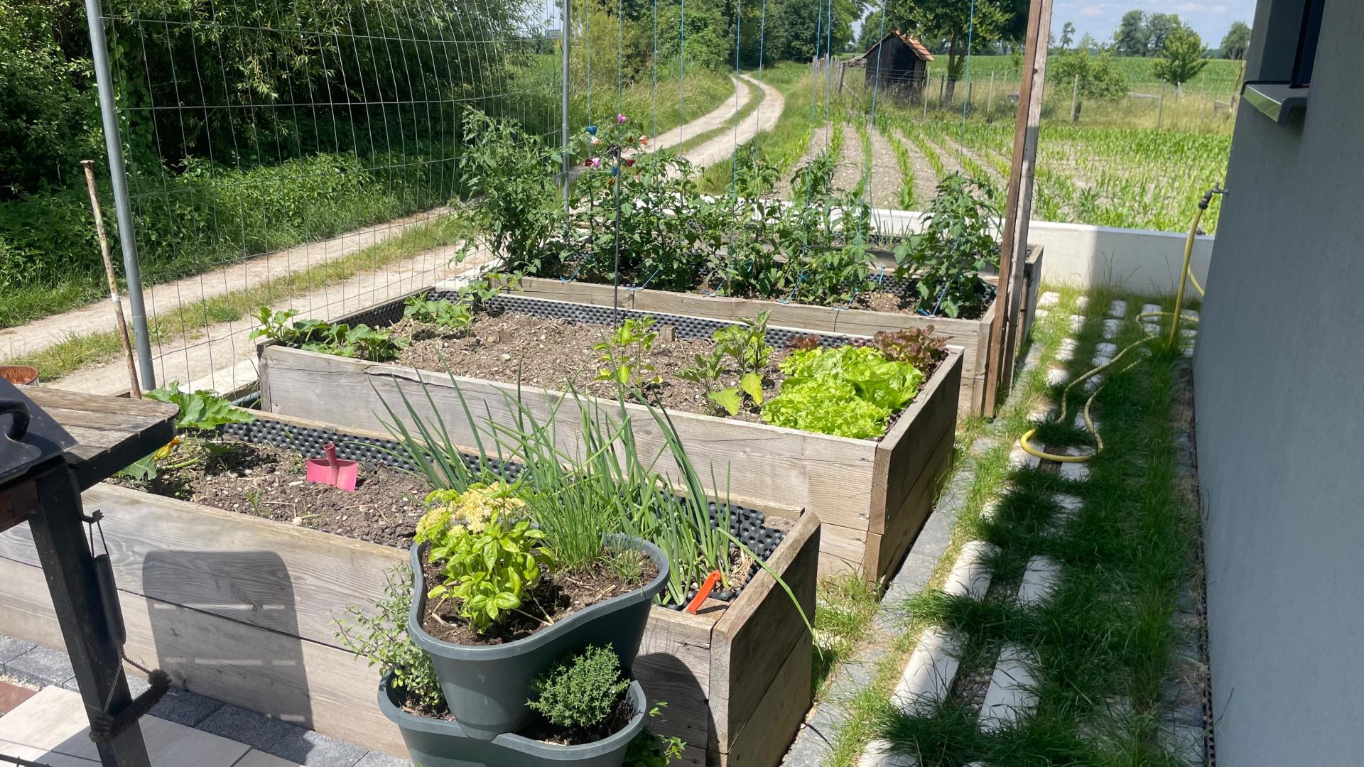 Photo 13 of the listing.