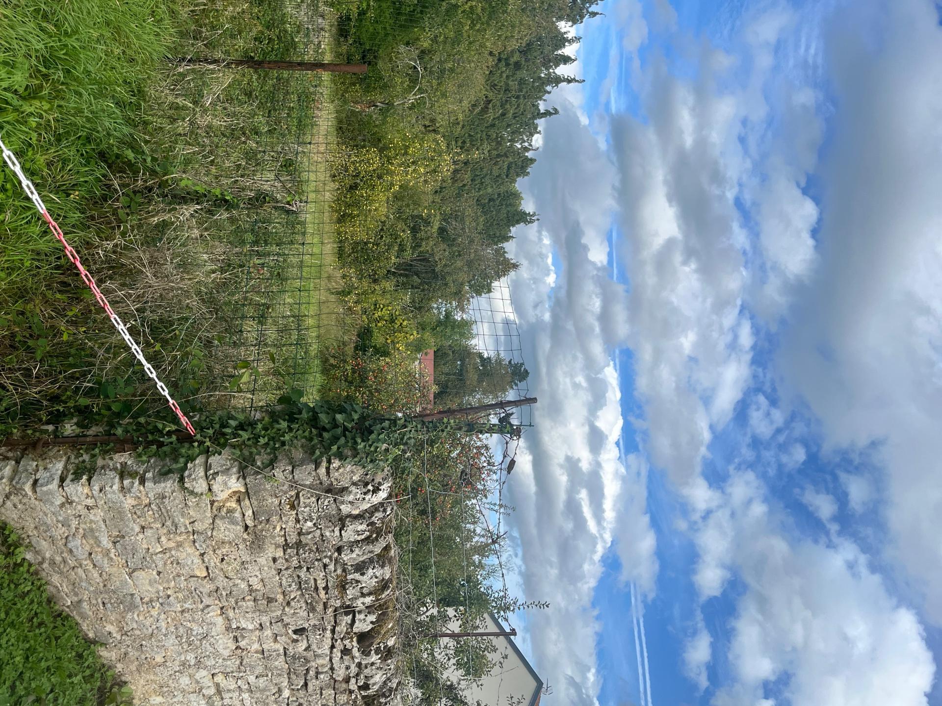 Photo-terrain