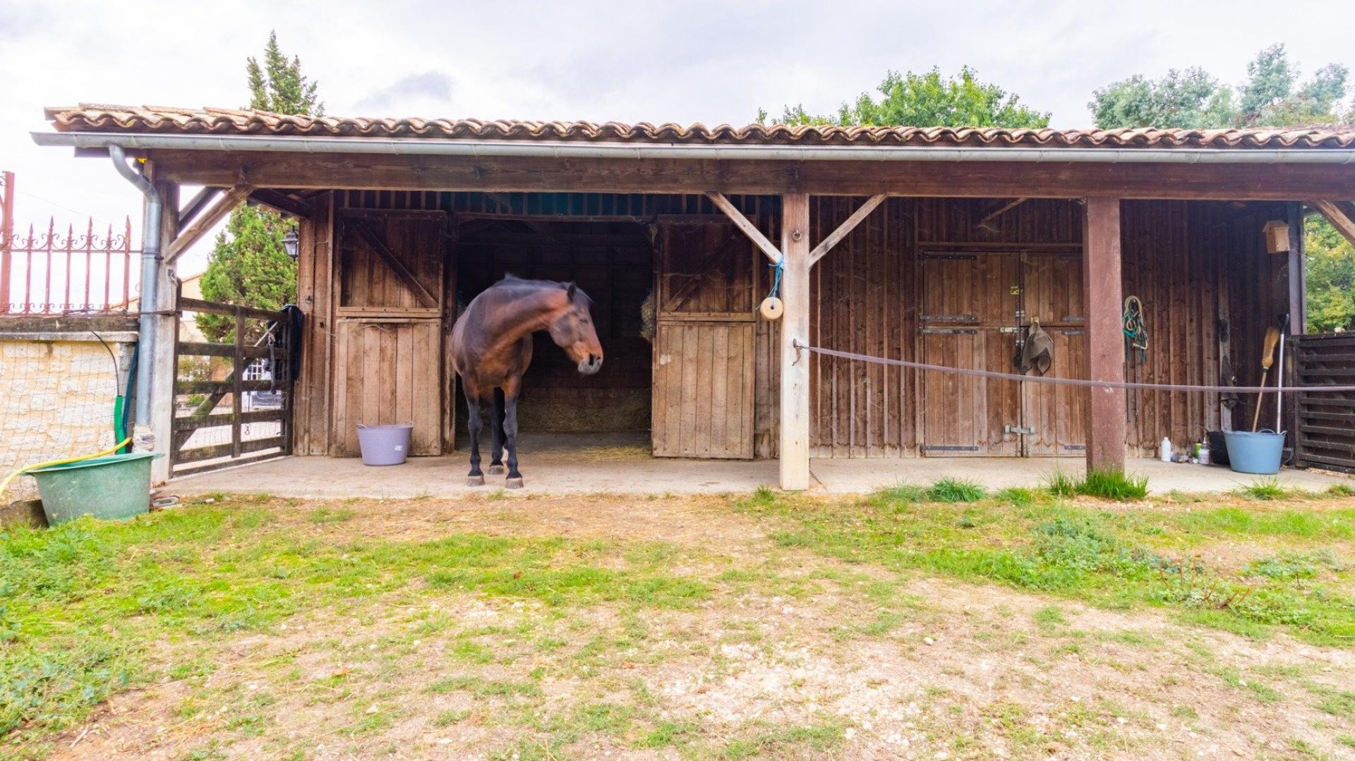 Photo 22 de l'annonce.