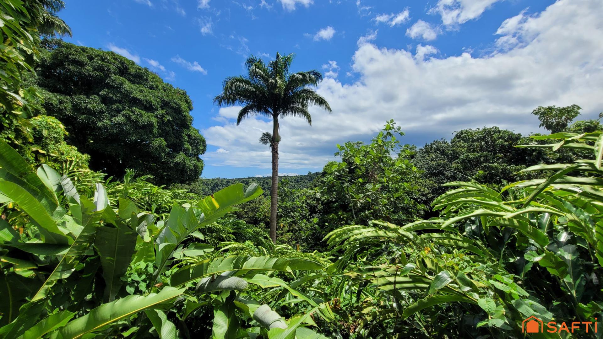 Photo-local_commercial