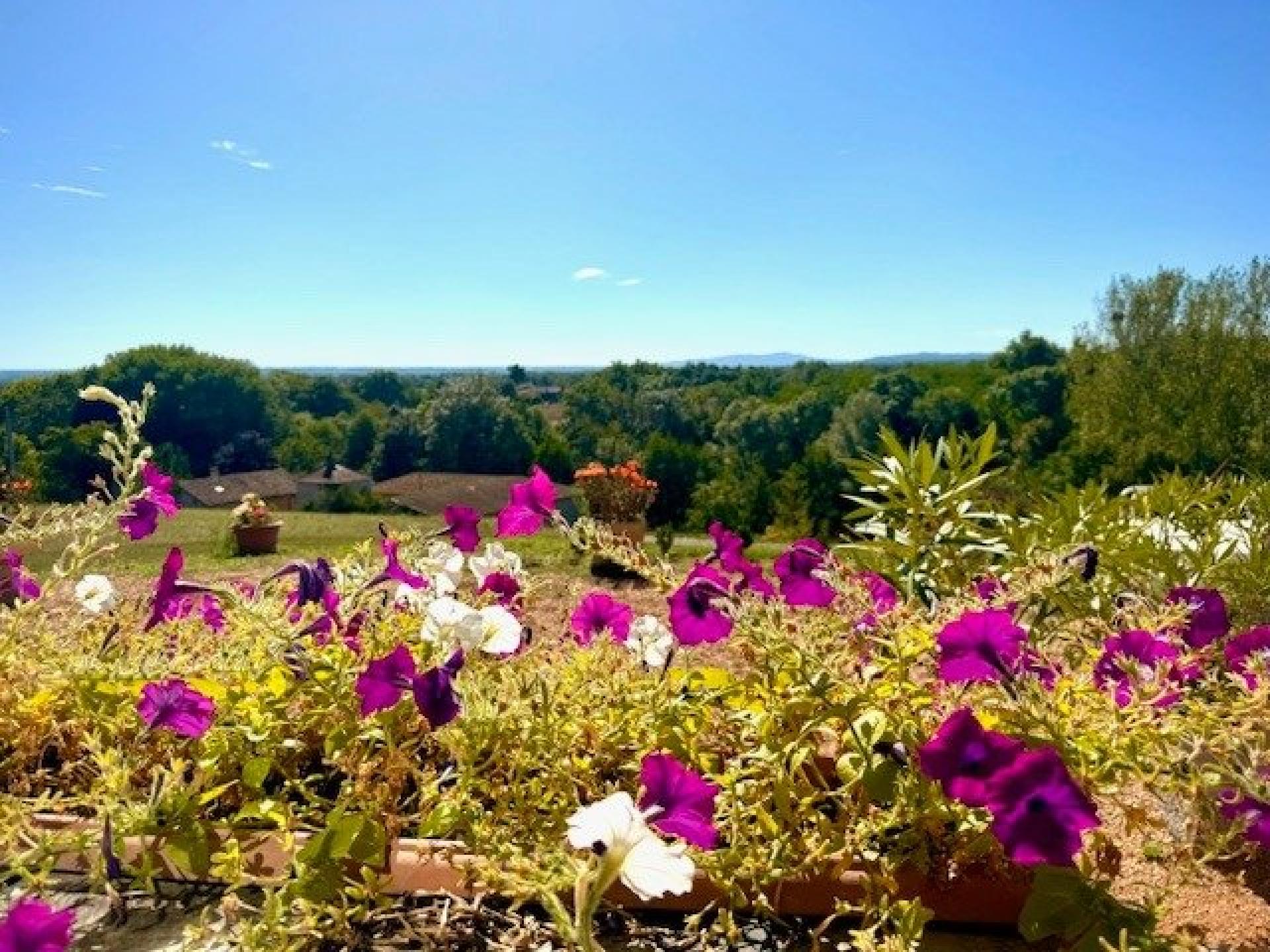 Photo 2 de l'annonce.