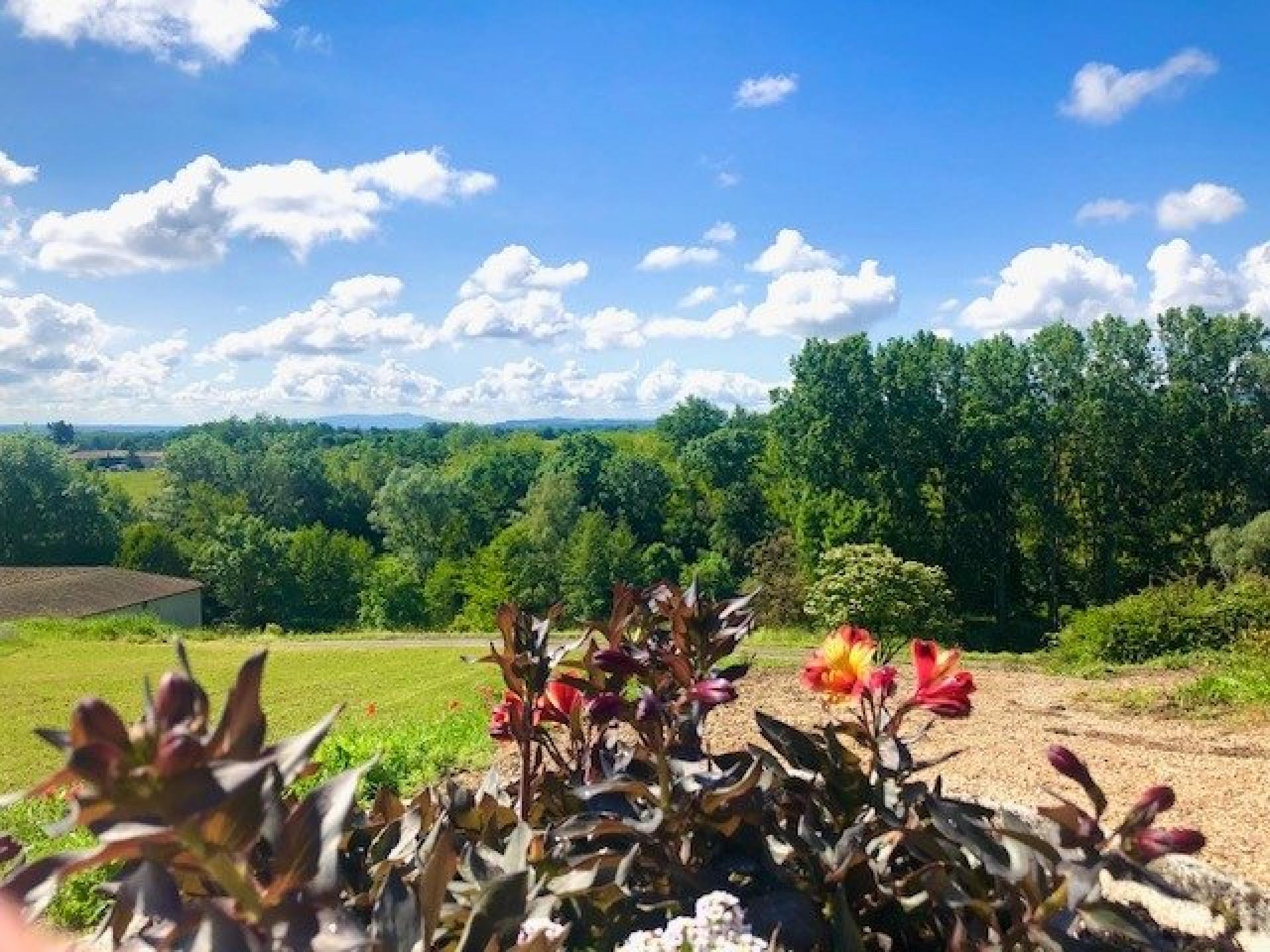 Photo 12 de l'annonce.