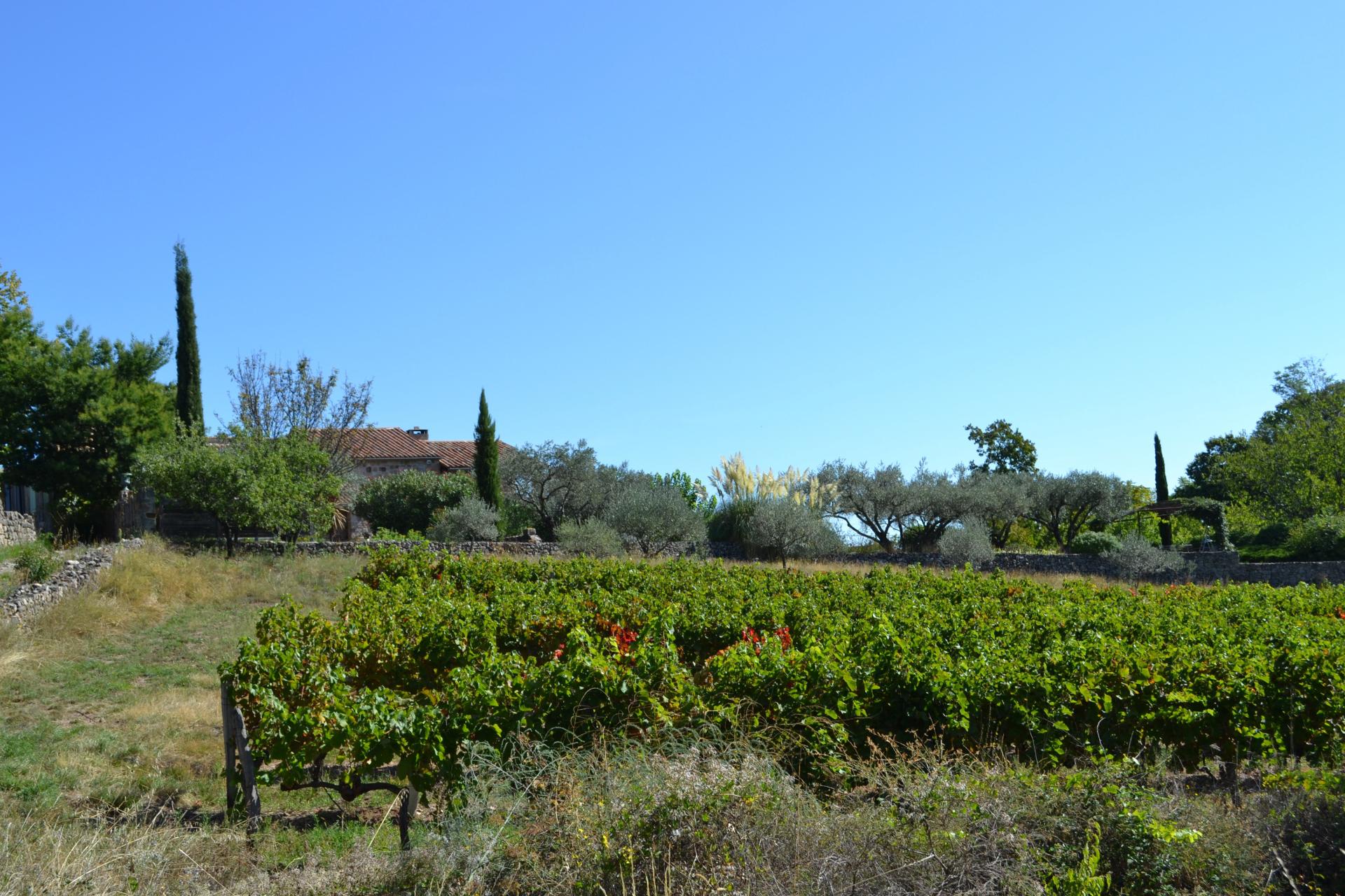 Photo 2 of the listing.