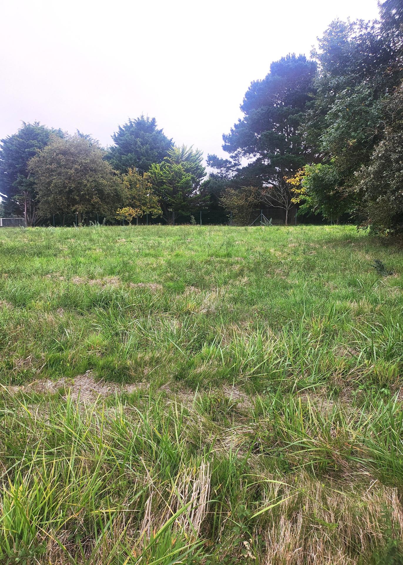 Photo 2 de l'annonce.